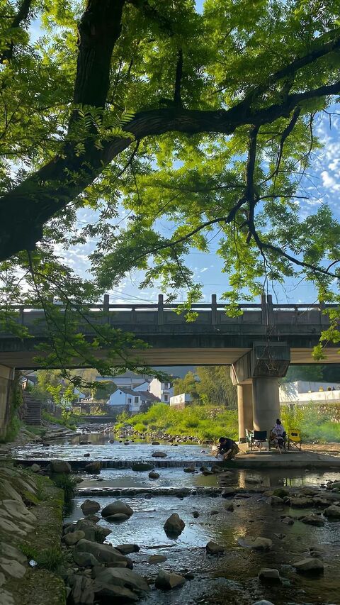 Village Stream Shaded by Big Tree