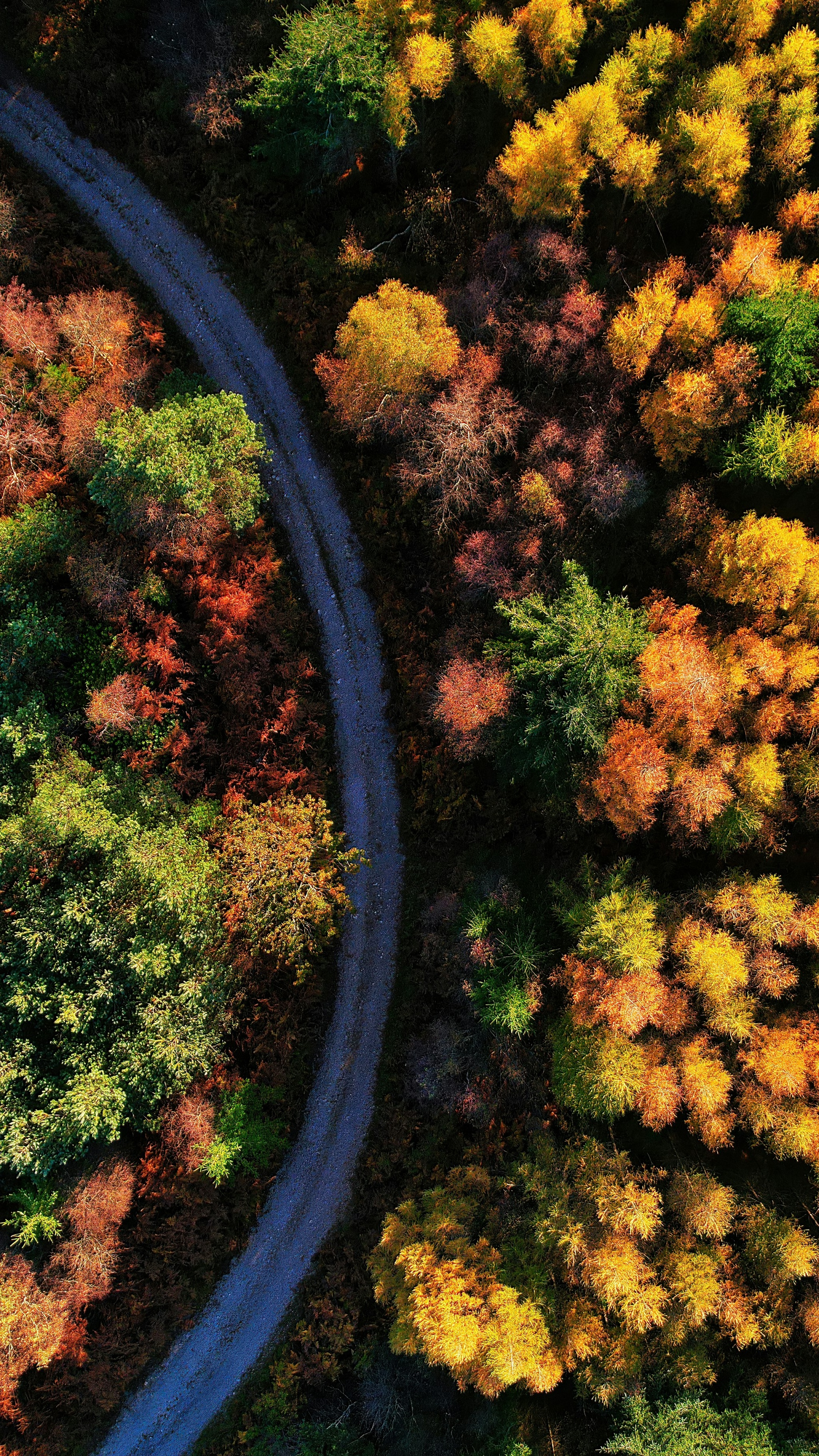 Wallpapers