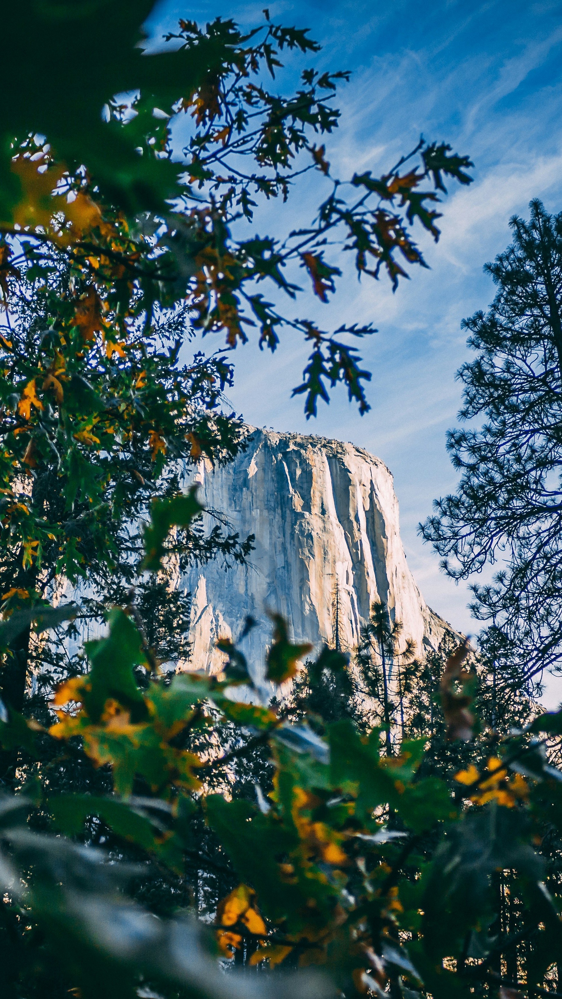 Wallpapers