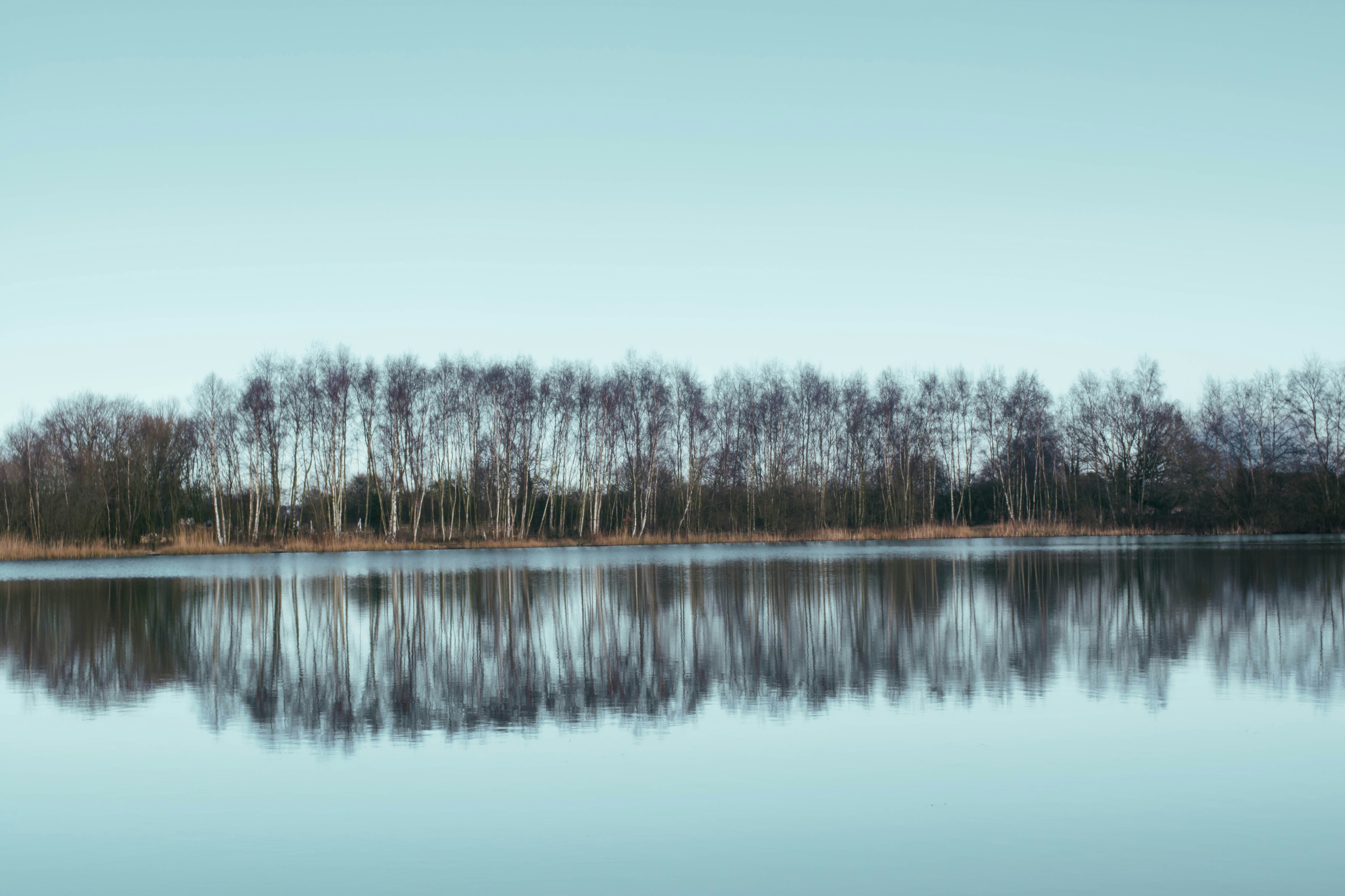 Calm Lake with Tree Reflections