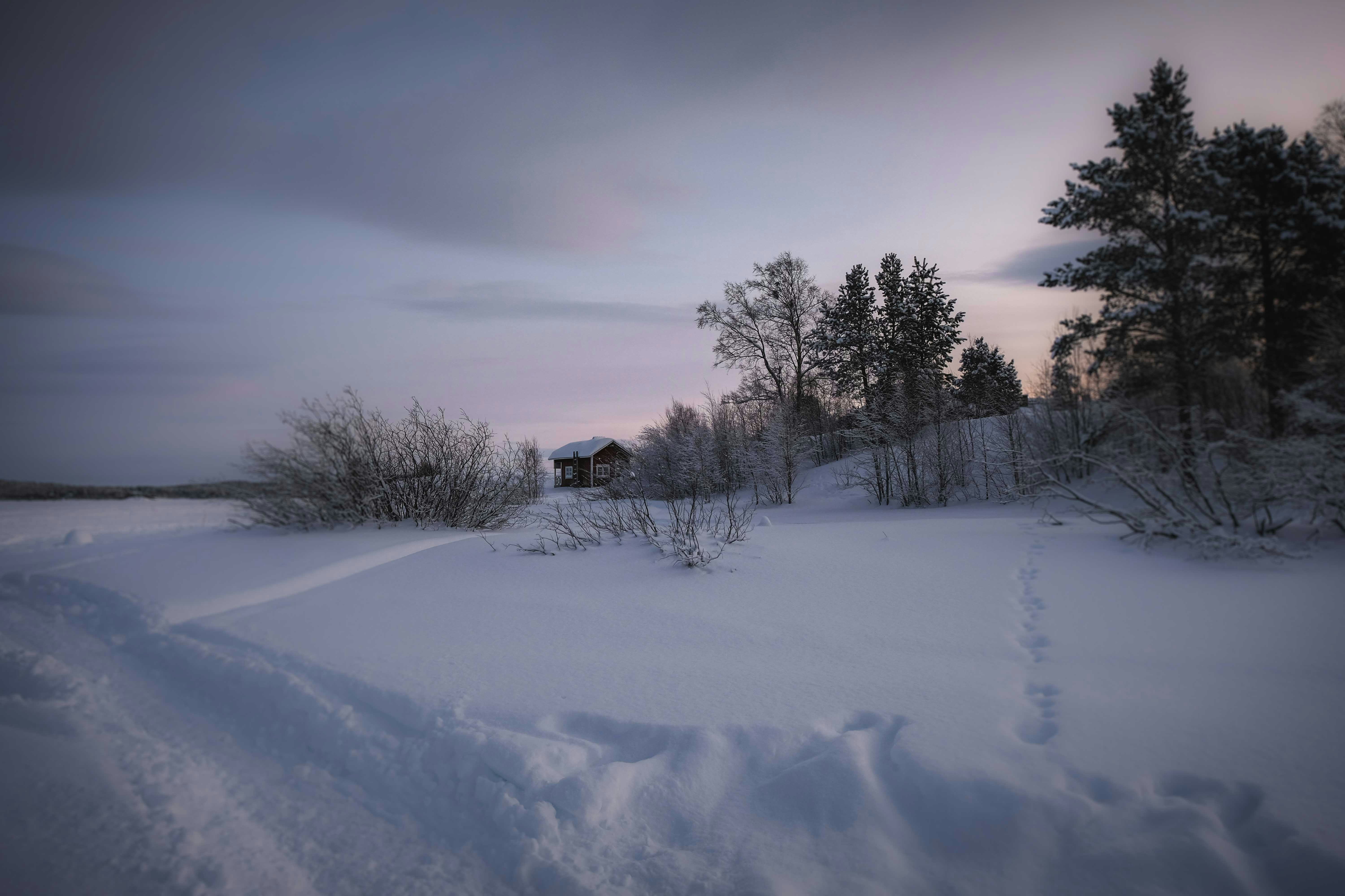 Snowy Winter Cabin Landscape