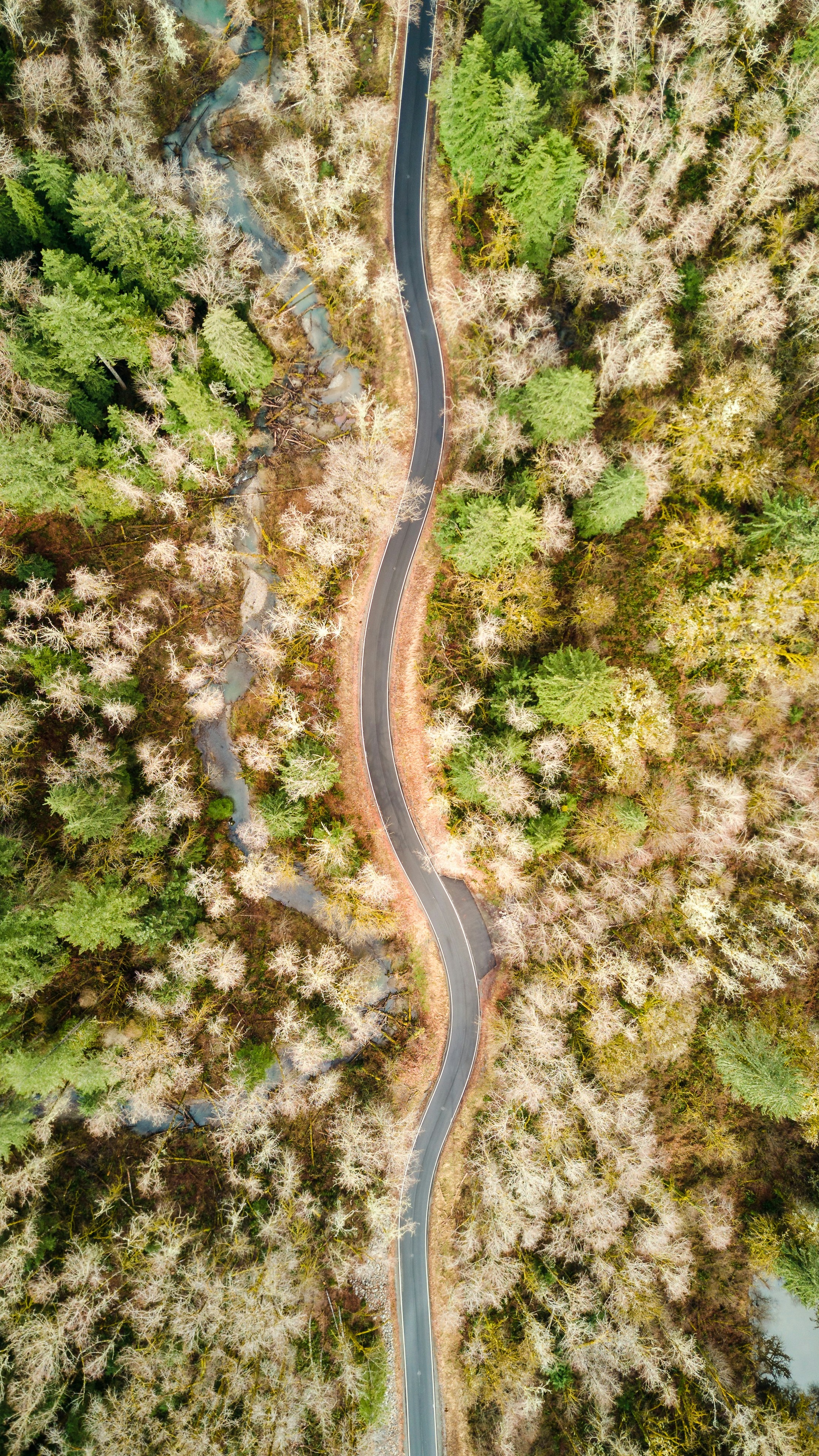 Wallpapers