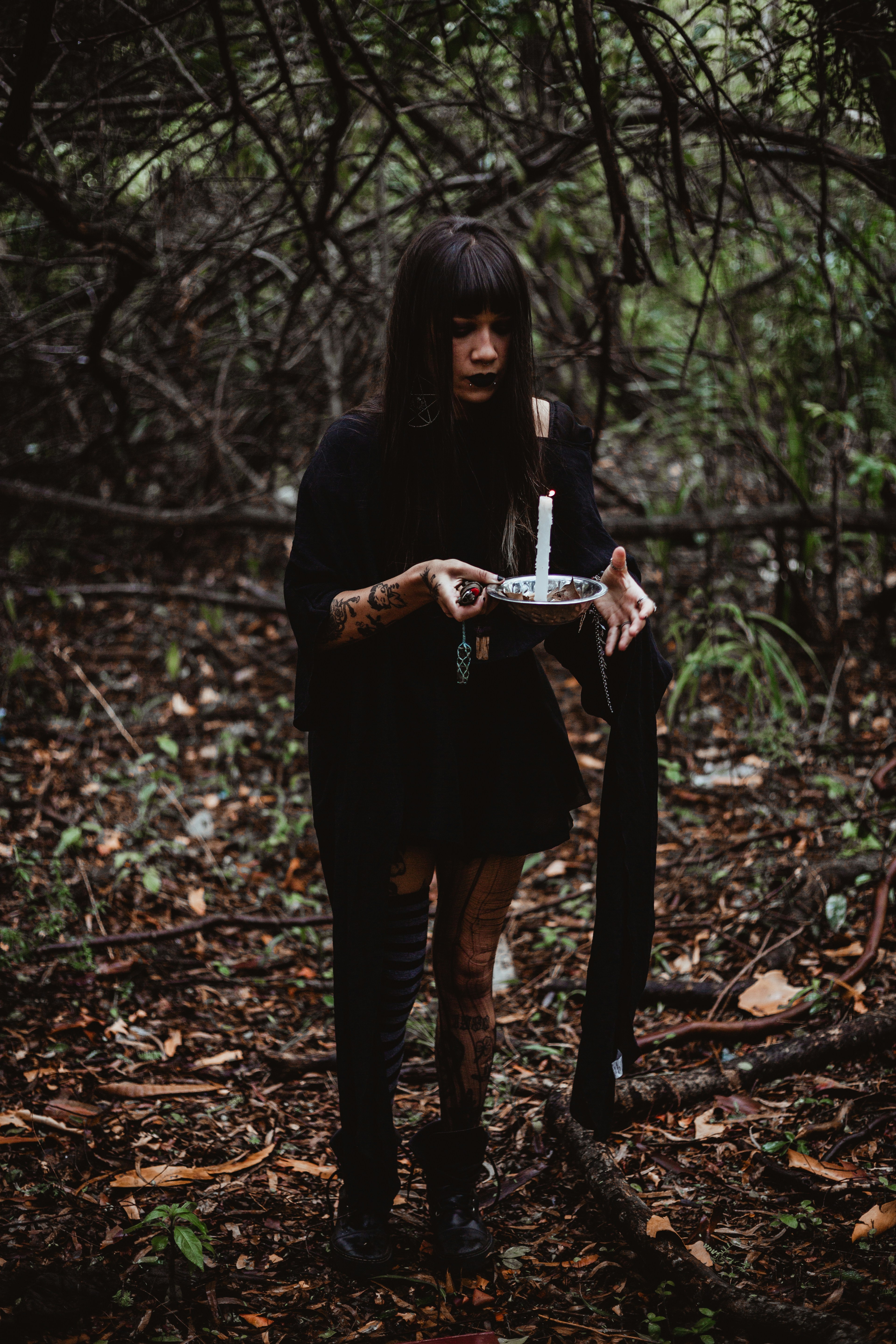 Forest & Flora