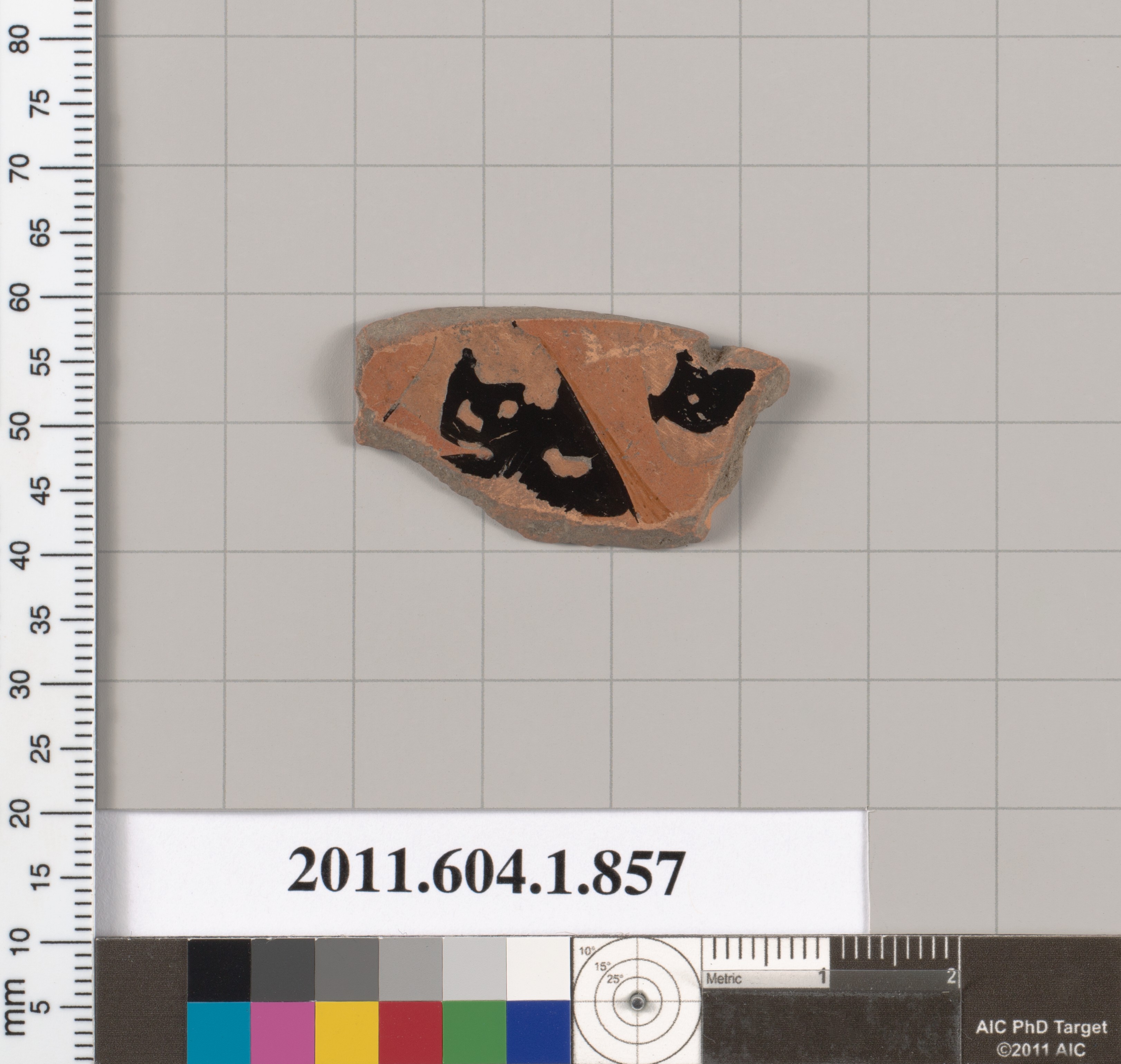 Ancient Pottery Fragment Specimen