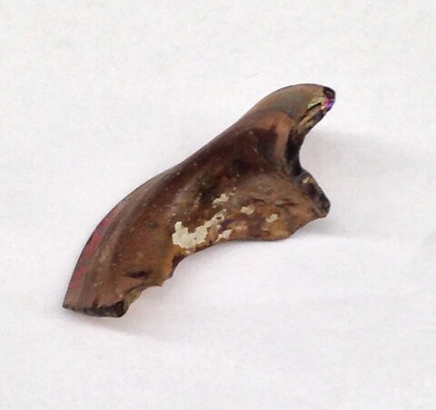 Fossilized Dinosaur Tooth Fragment