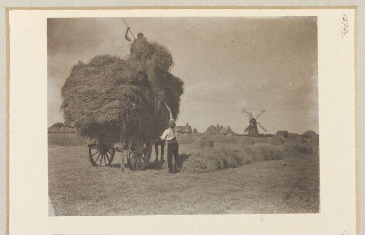Vintage Rural Hay Harvest Scene