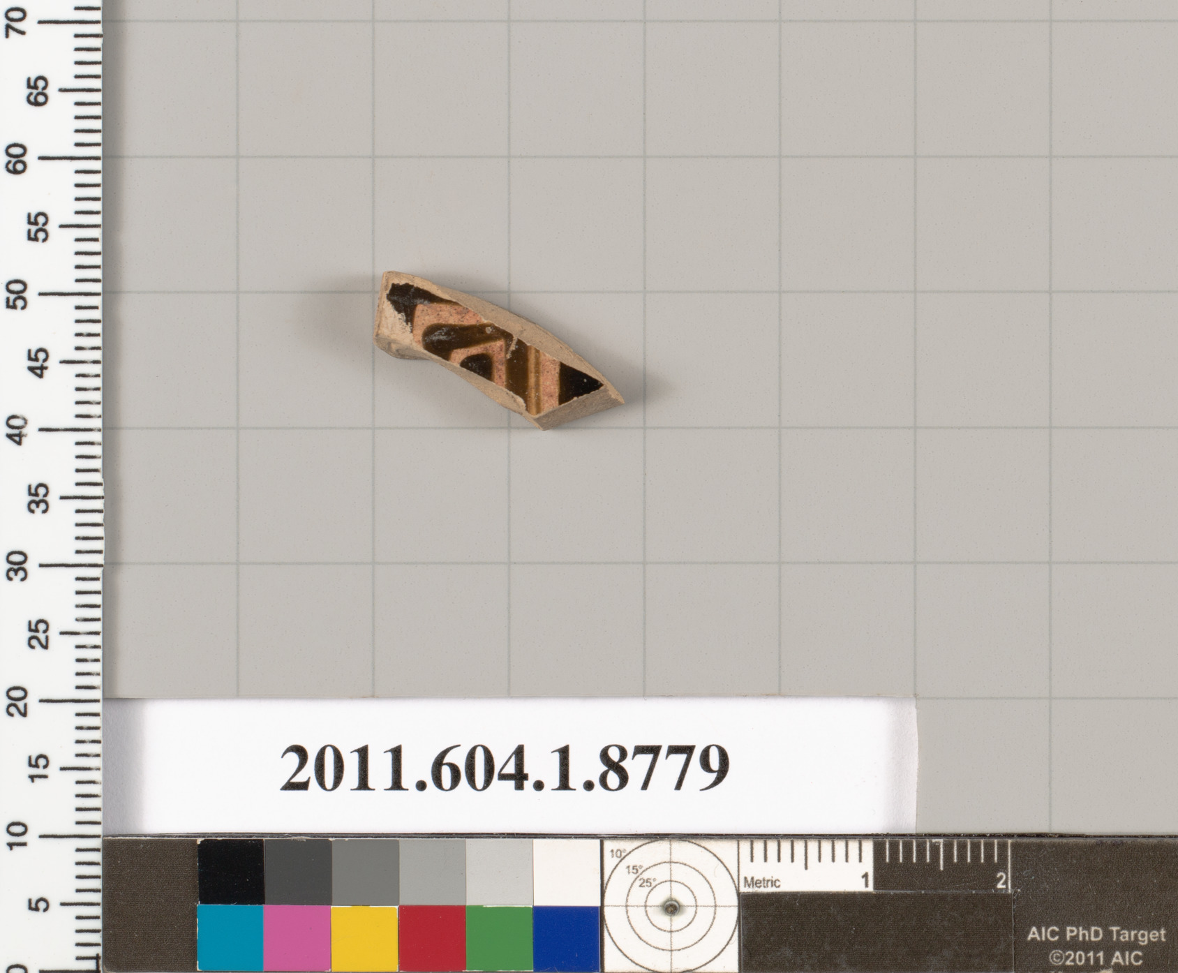 Archaeological Pottery Shard Specimen