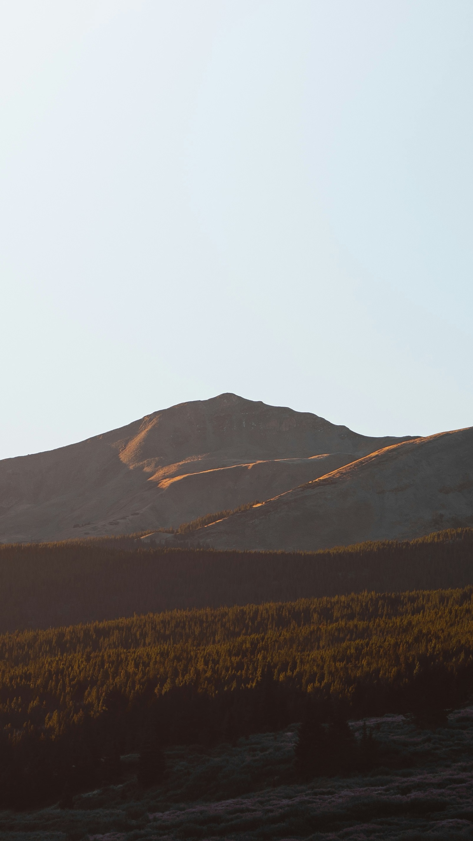 Sunlit Mountain Landscape