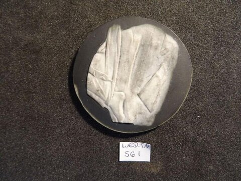 Mounted Geological Rock Sample