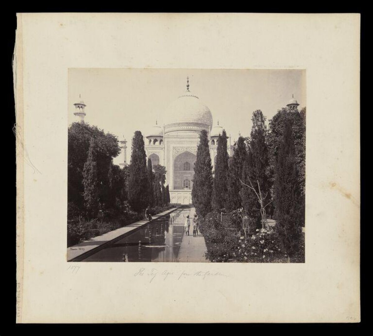 Taj Mahal Garden View