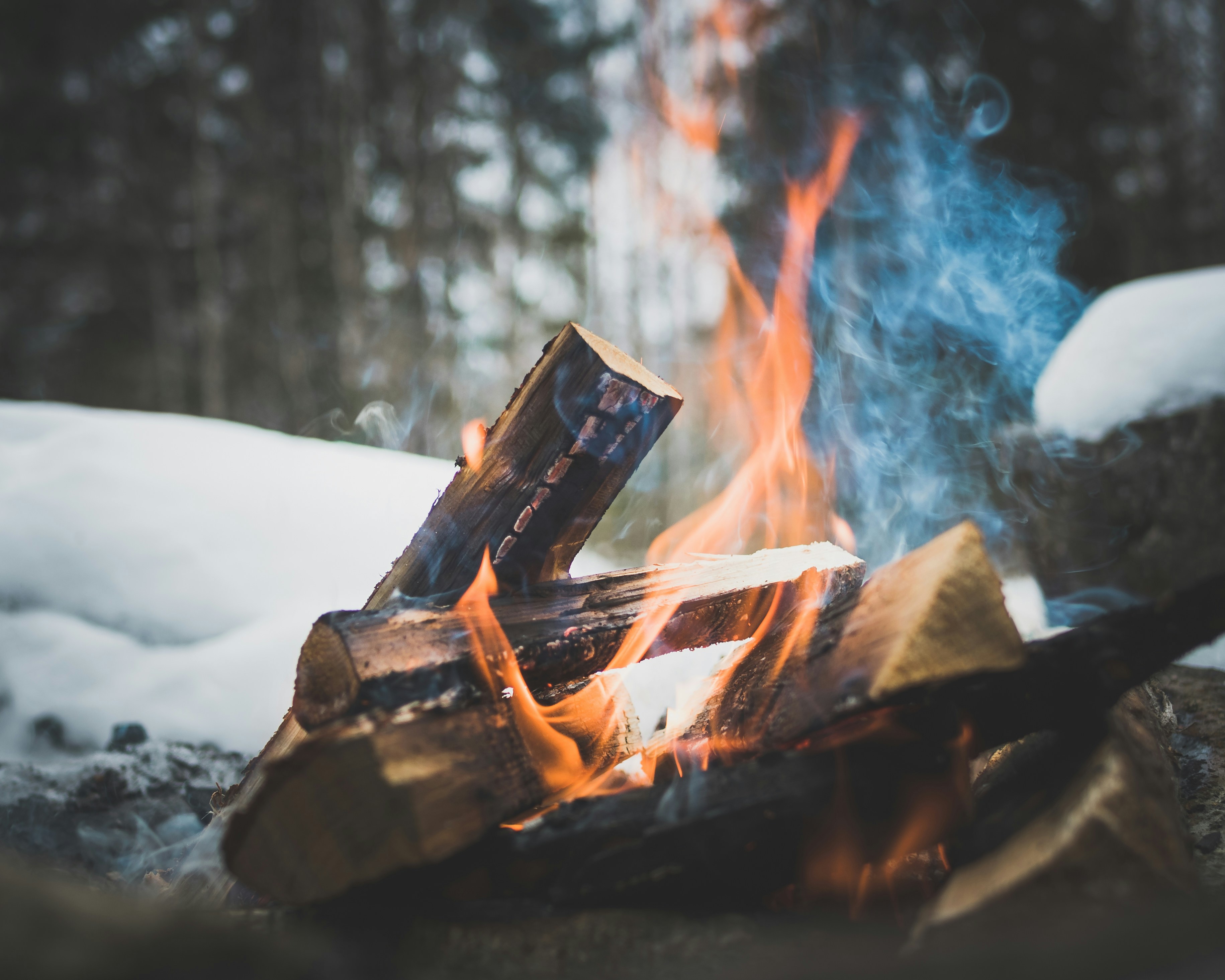 Campfire in Snowy Forest