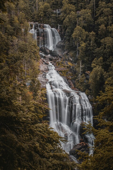 Waterfall in Dense Forest