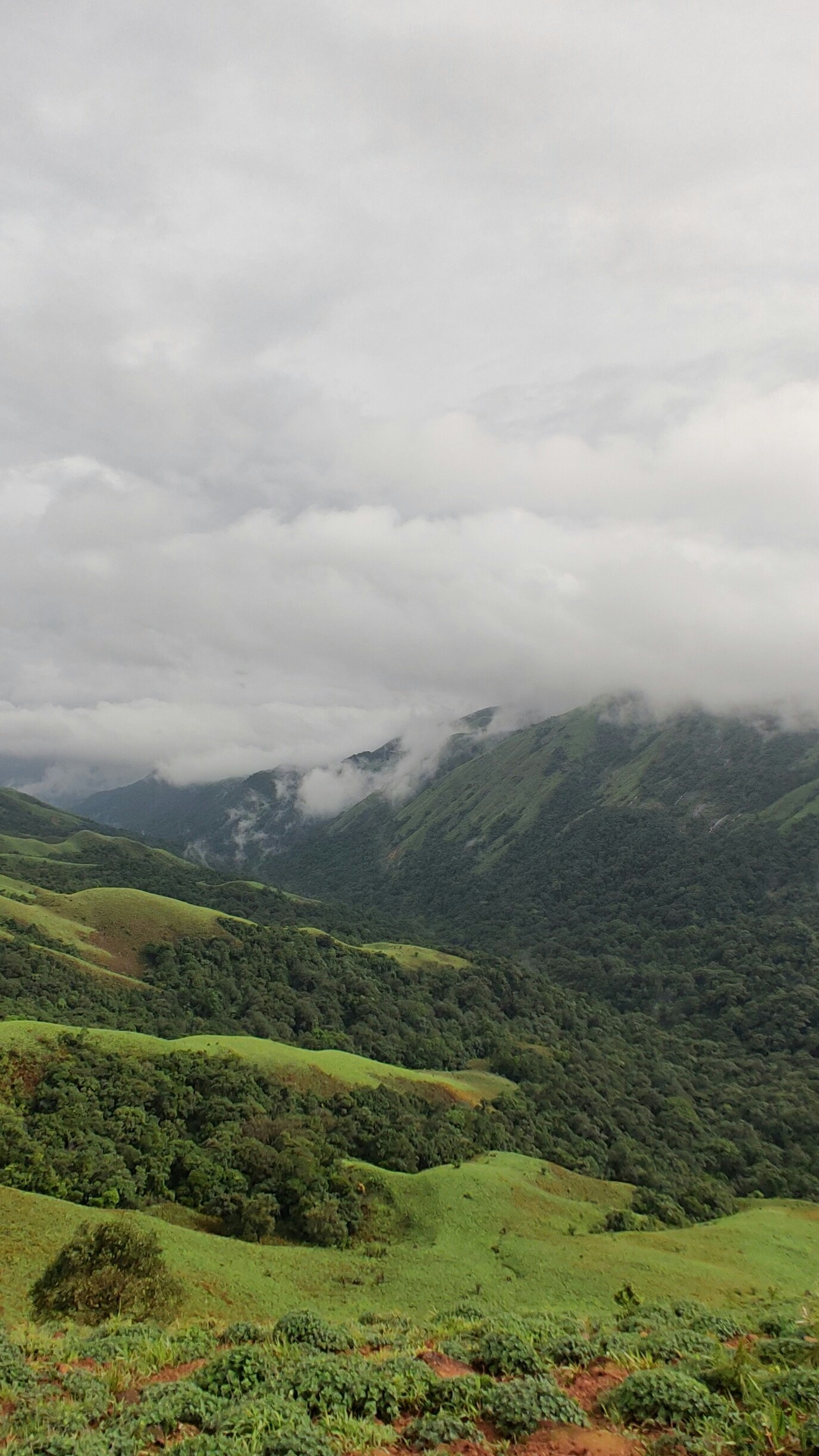 Landscapes