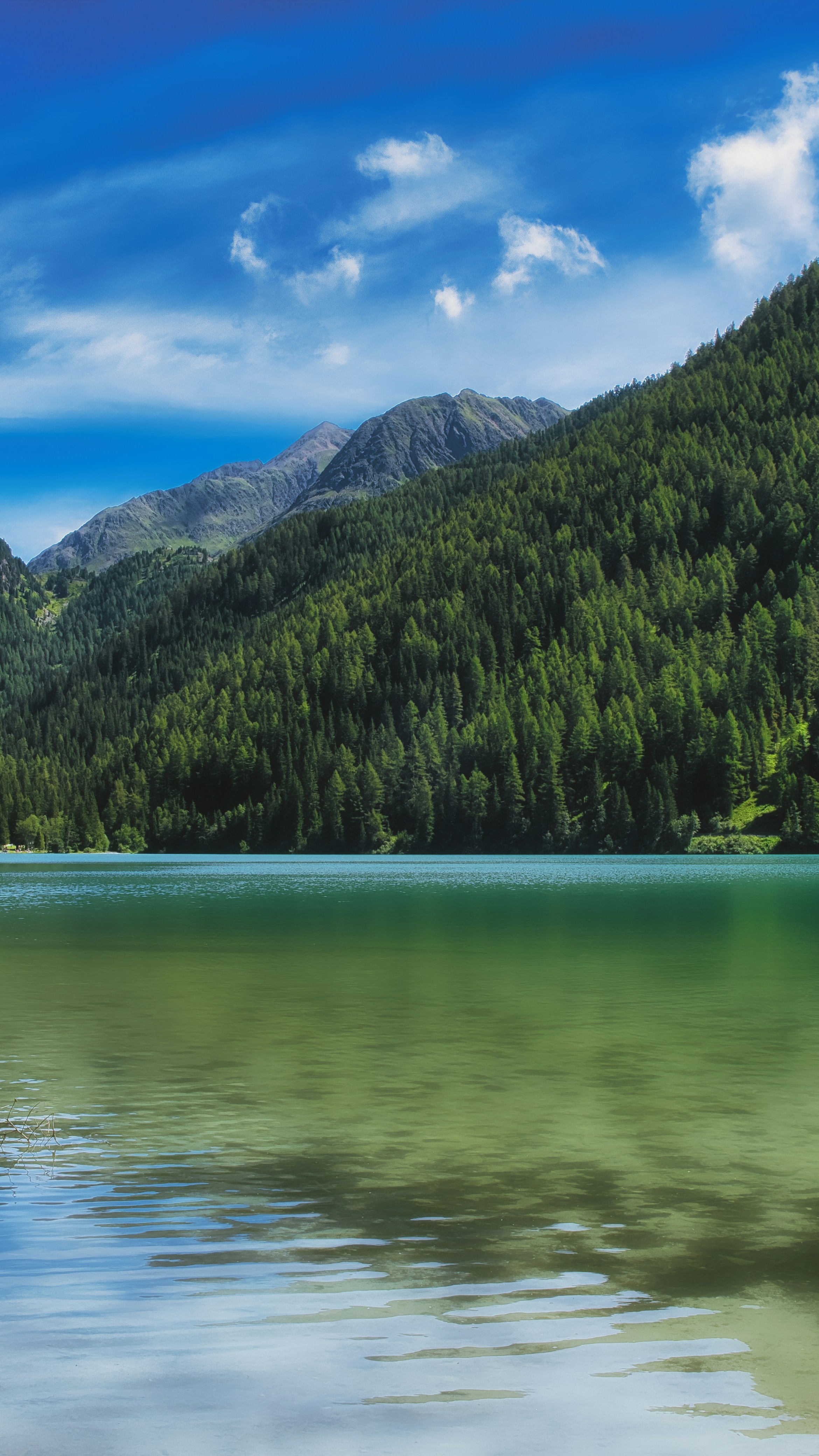 Landscapes