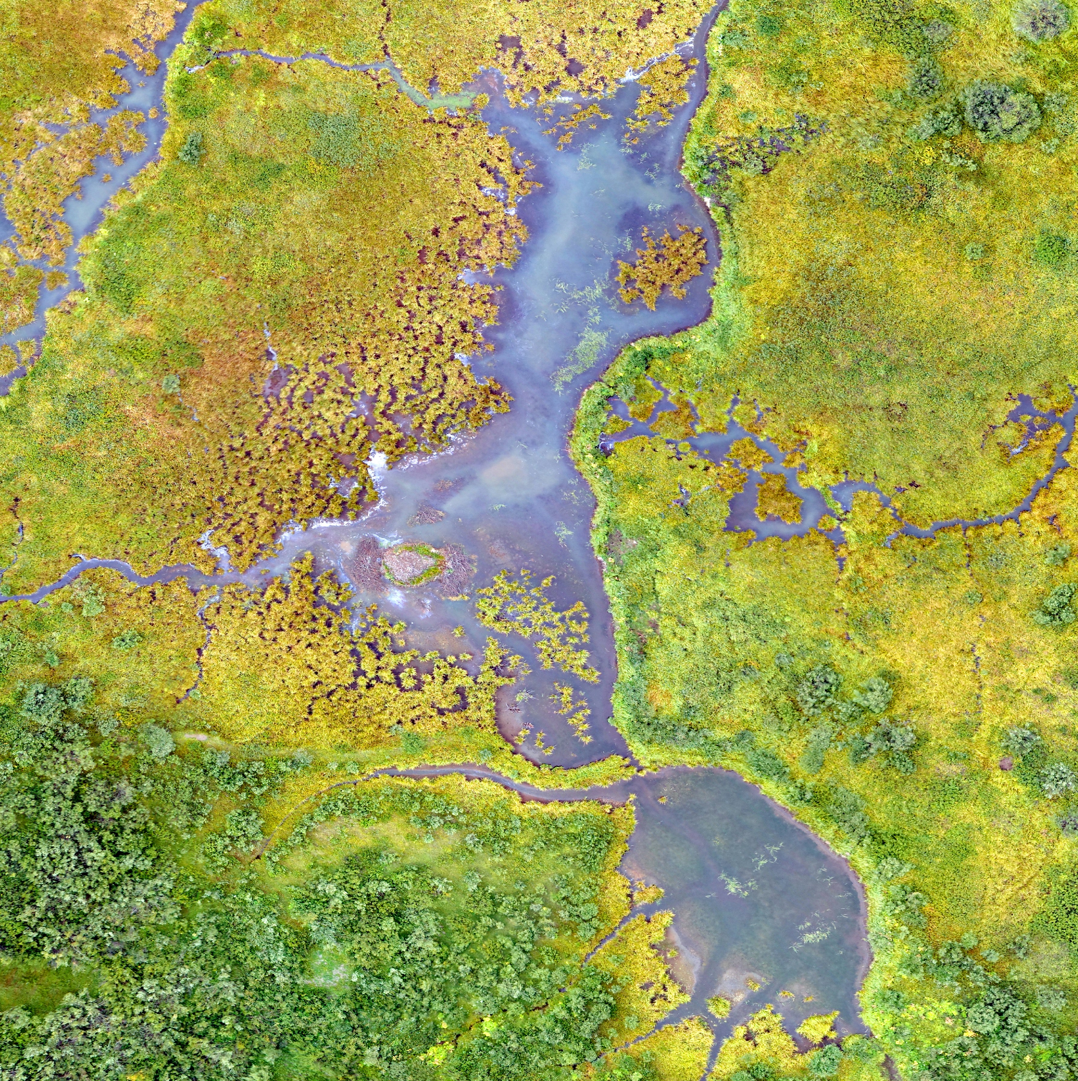 Aerial View of Wetland Water System