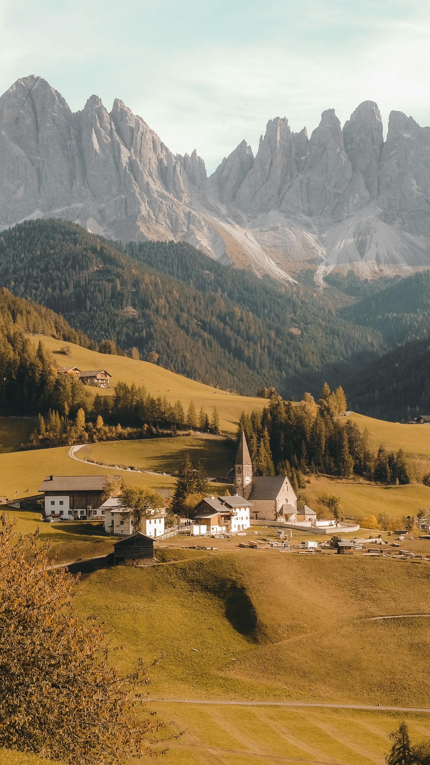Wallpapers