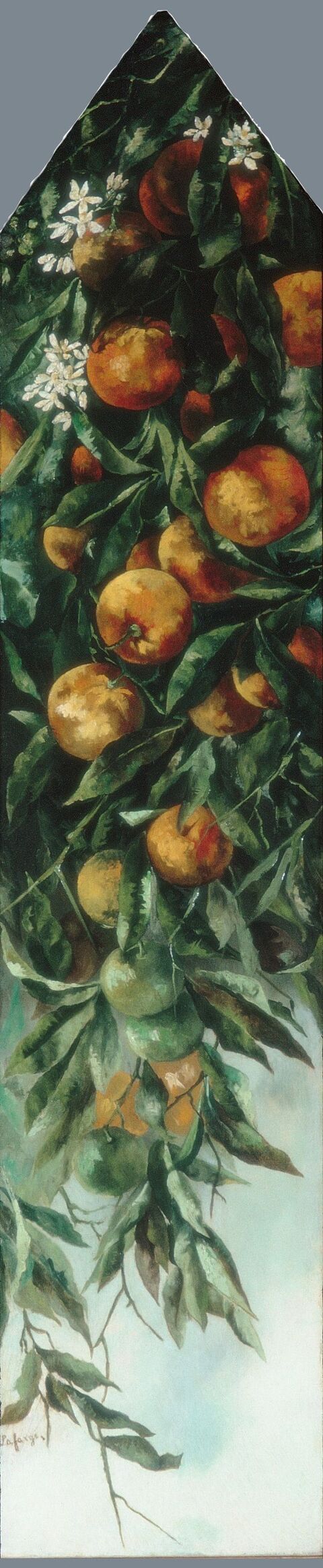Still Life of Orange Branches