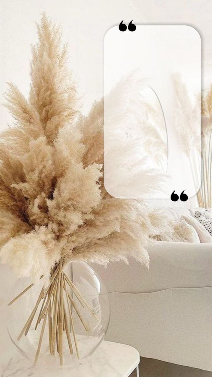 Home Decoration