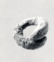 Powdered Coated Donut