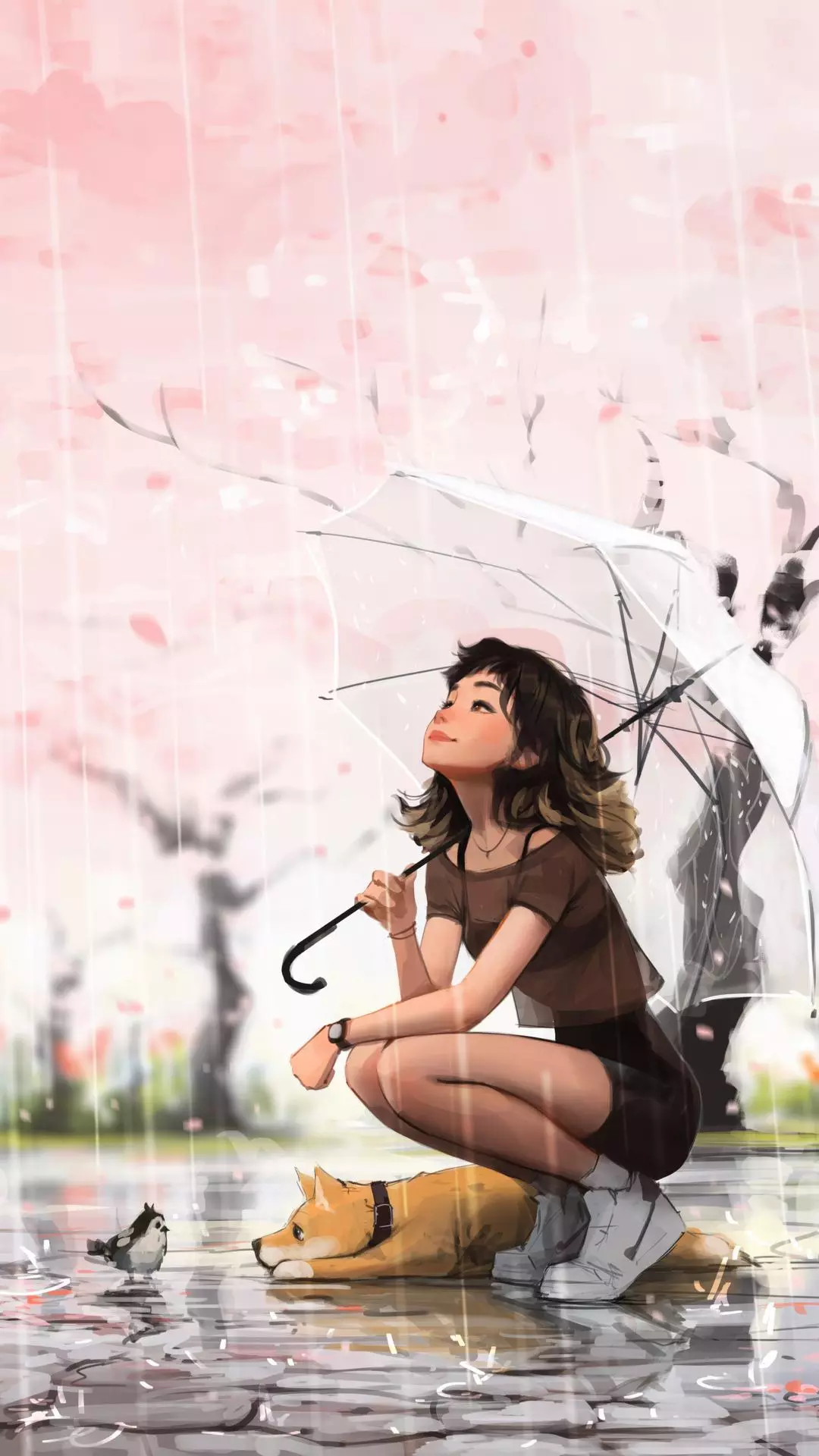 Wallpapers