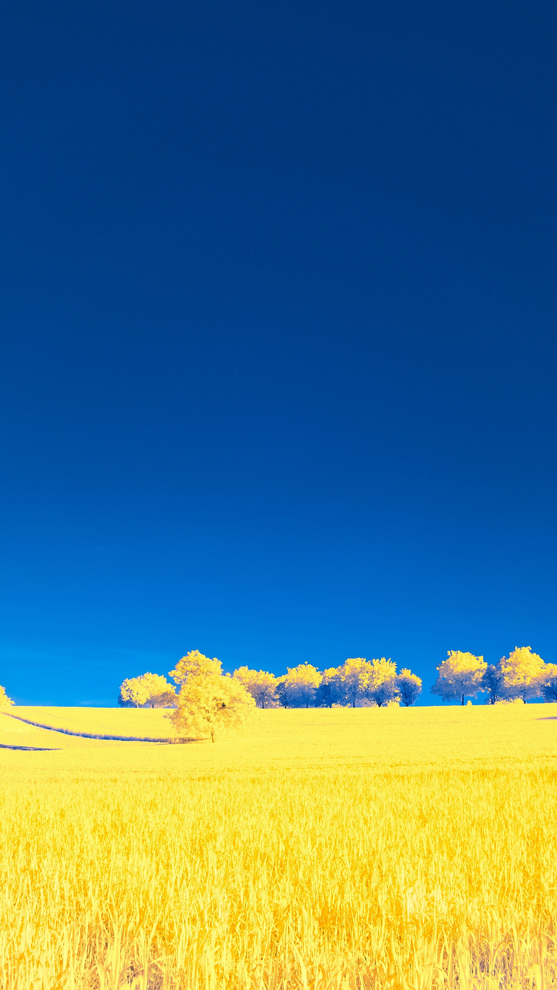 Wallpapers