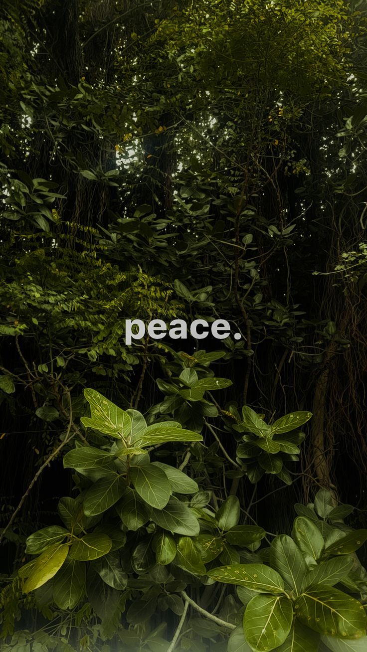 Wallpapers