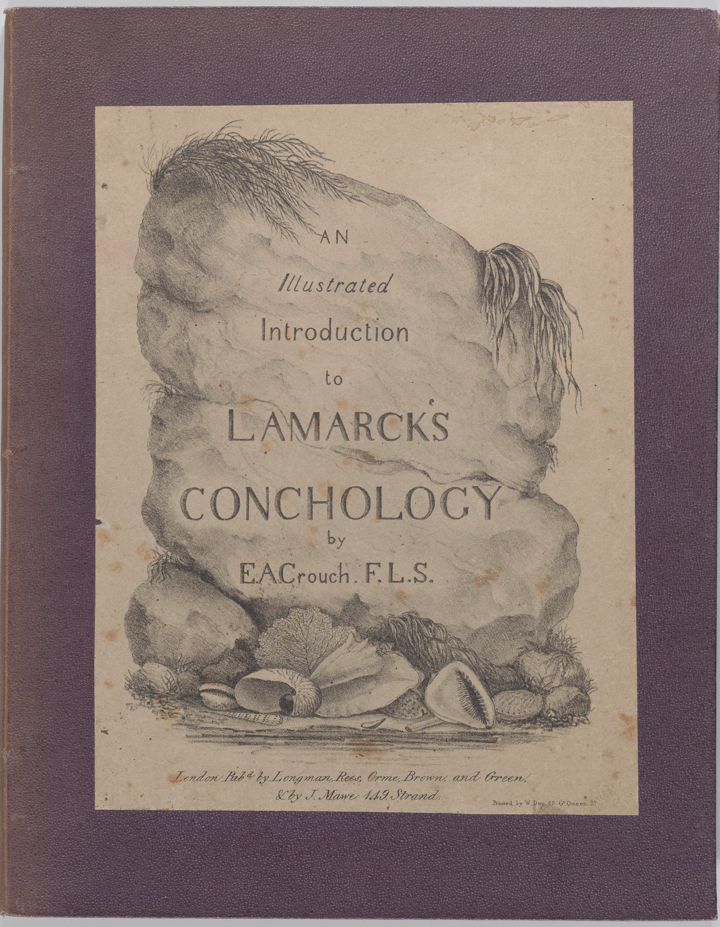 Lamarck's Conchology Title Page