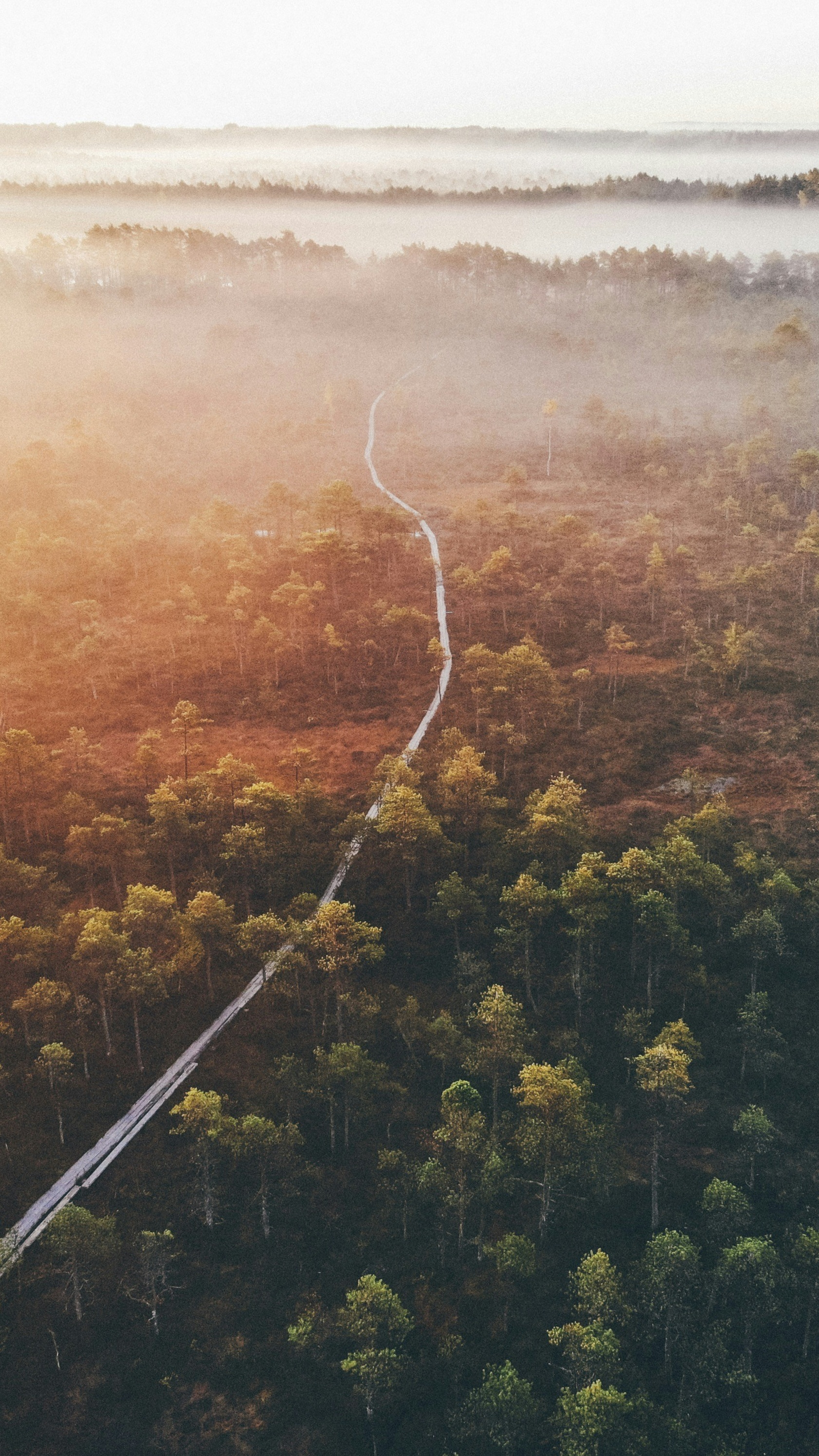 Wallpapers