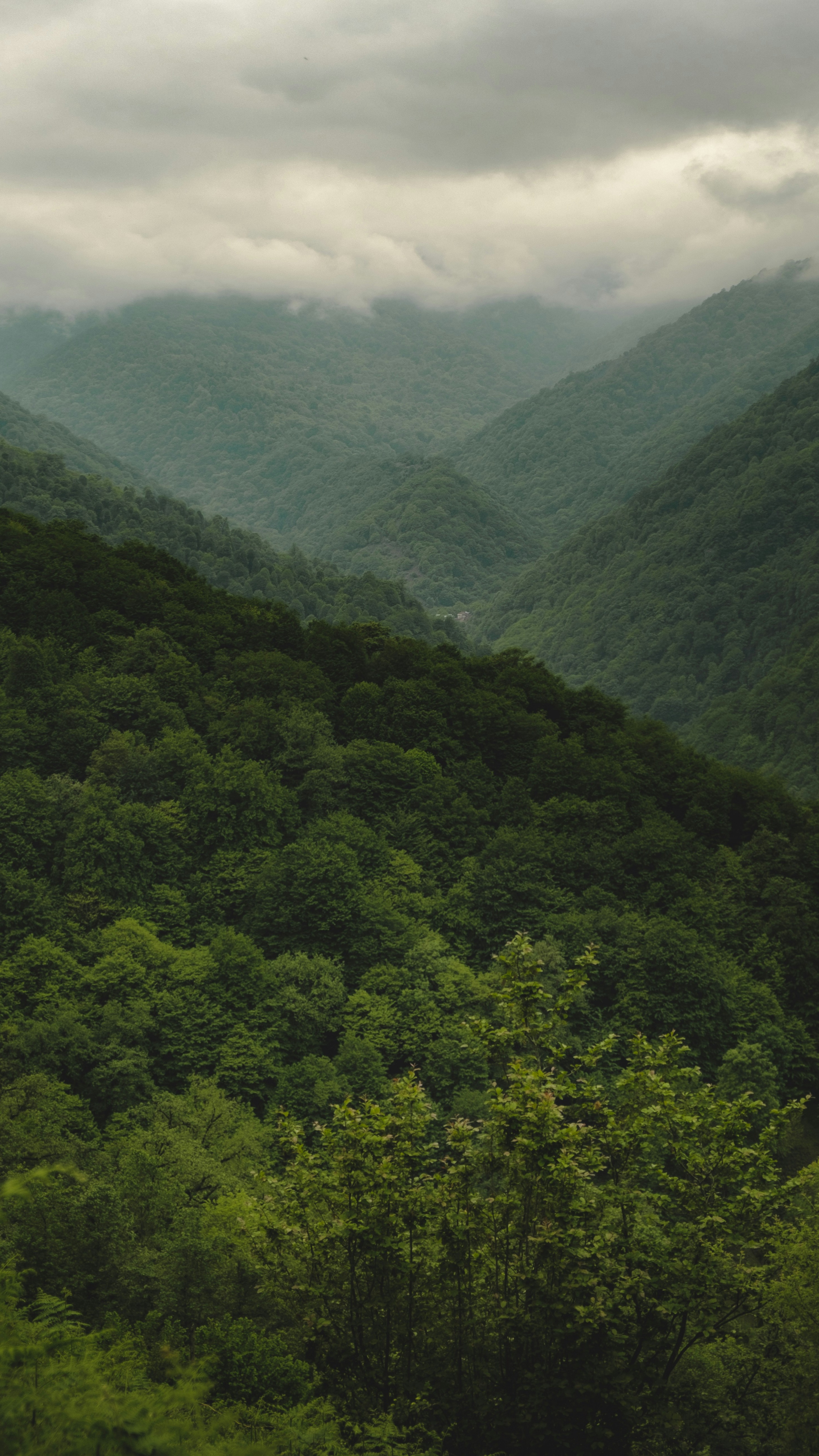 Wallpapers