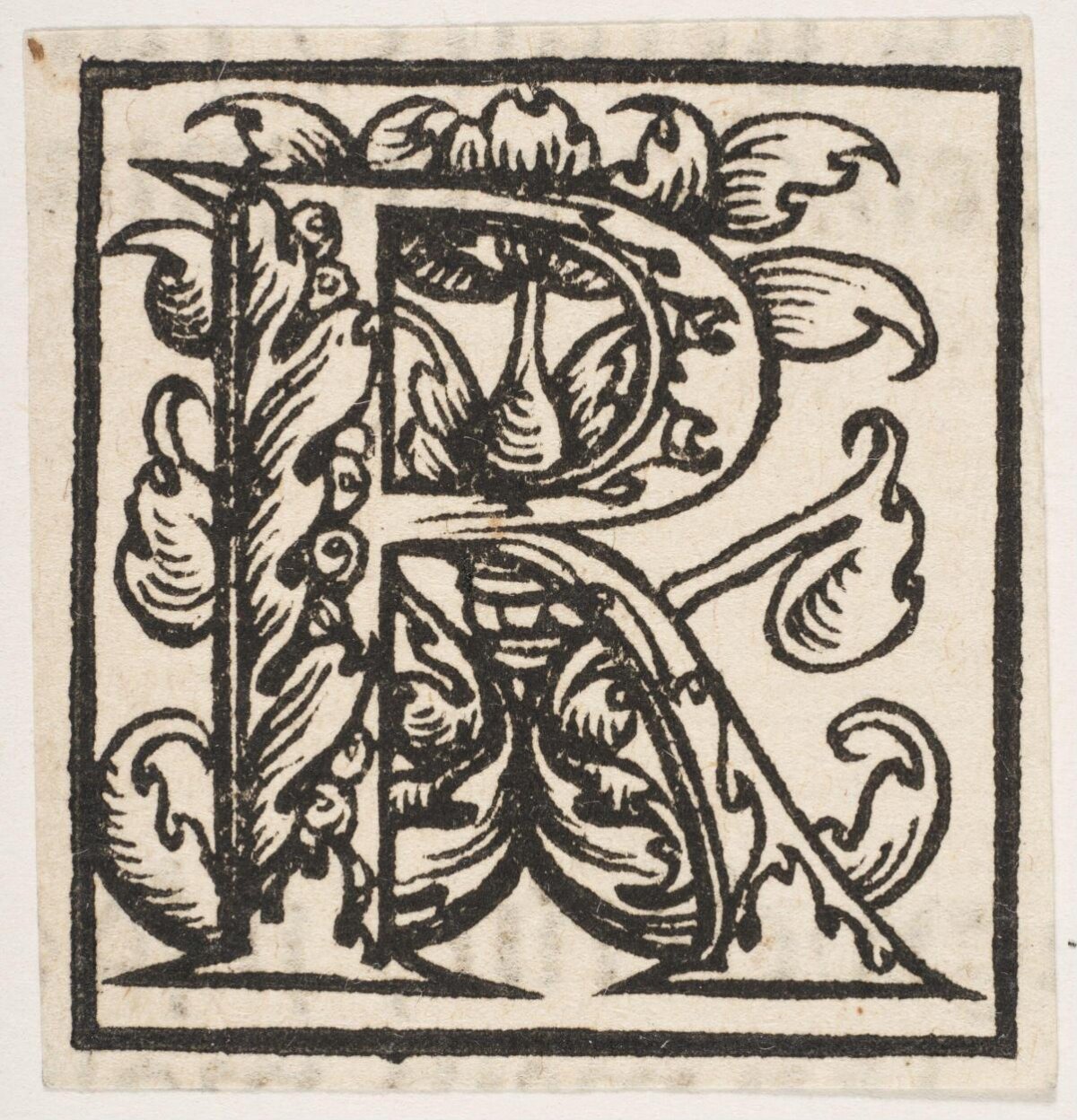 Decorated Woodcut Letter R
