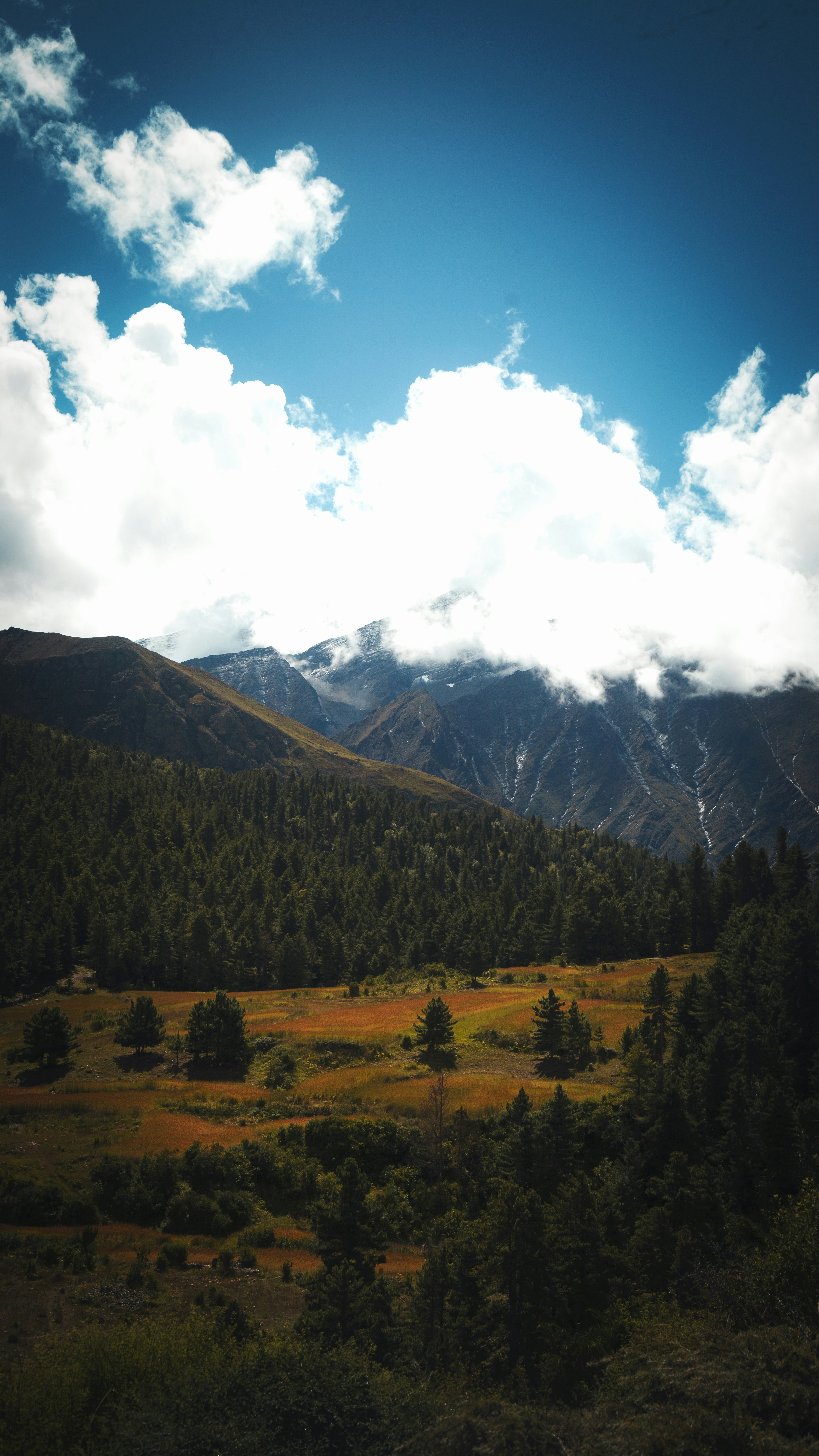 Wallpapers
