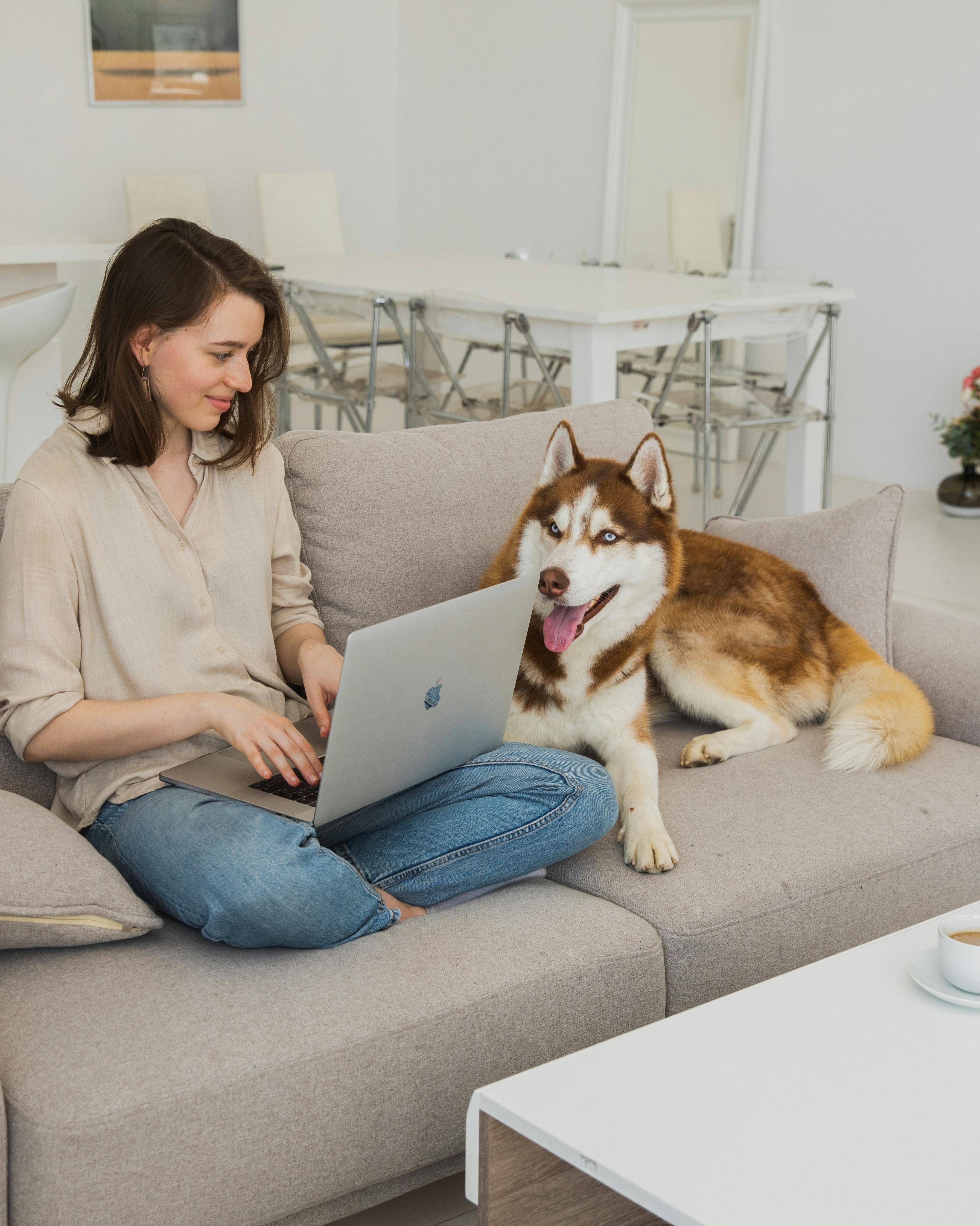 Woman Working From Home With Husky