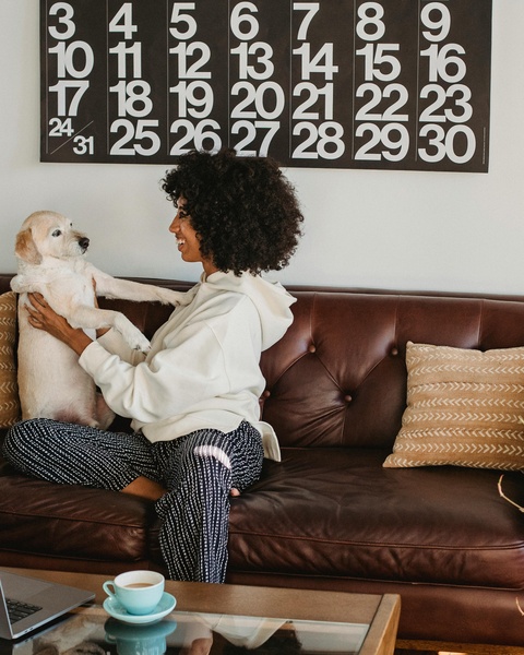 Woman Playing With Her Dog on Couch