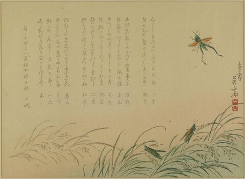 Japanese Painting of Grasshoppers and Grasses