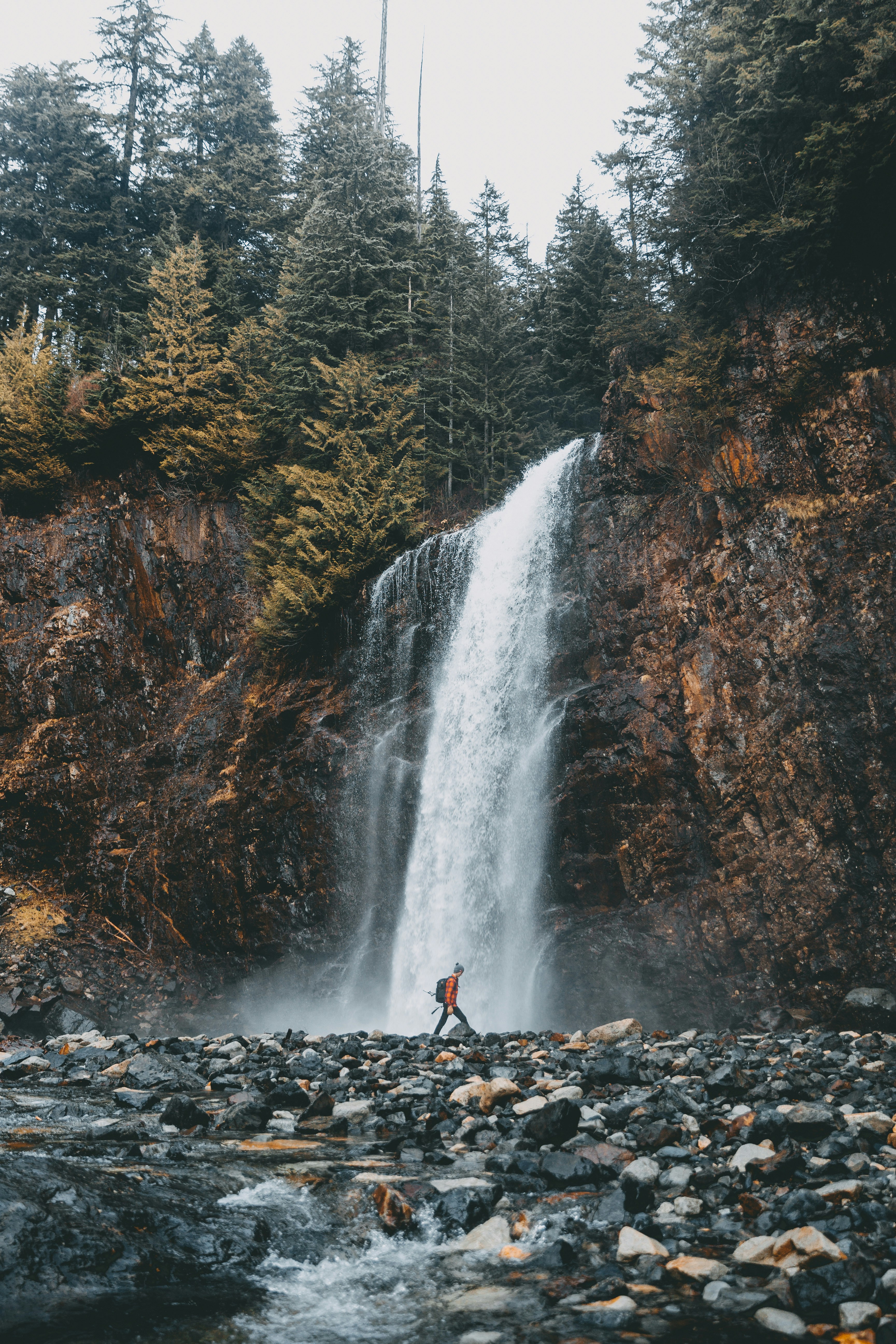 Hiker at Forest Waterfall