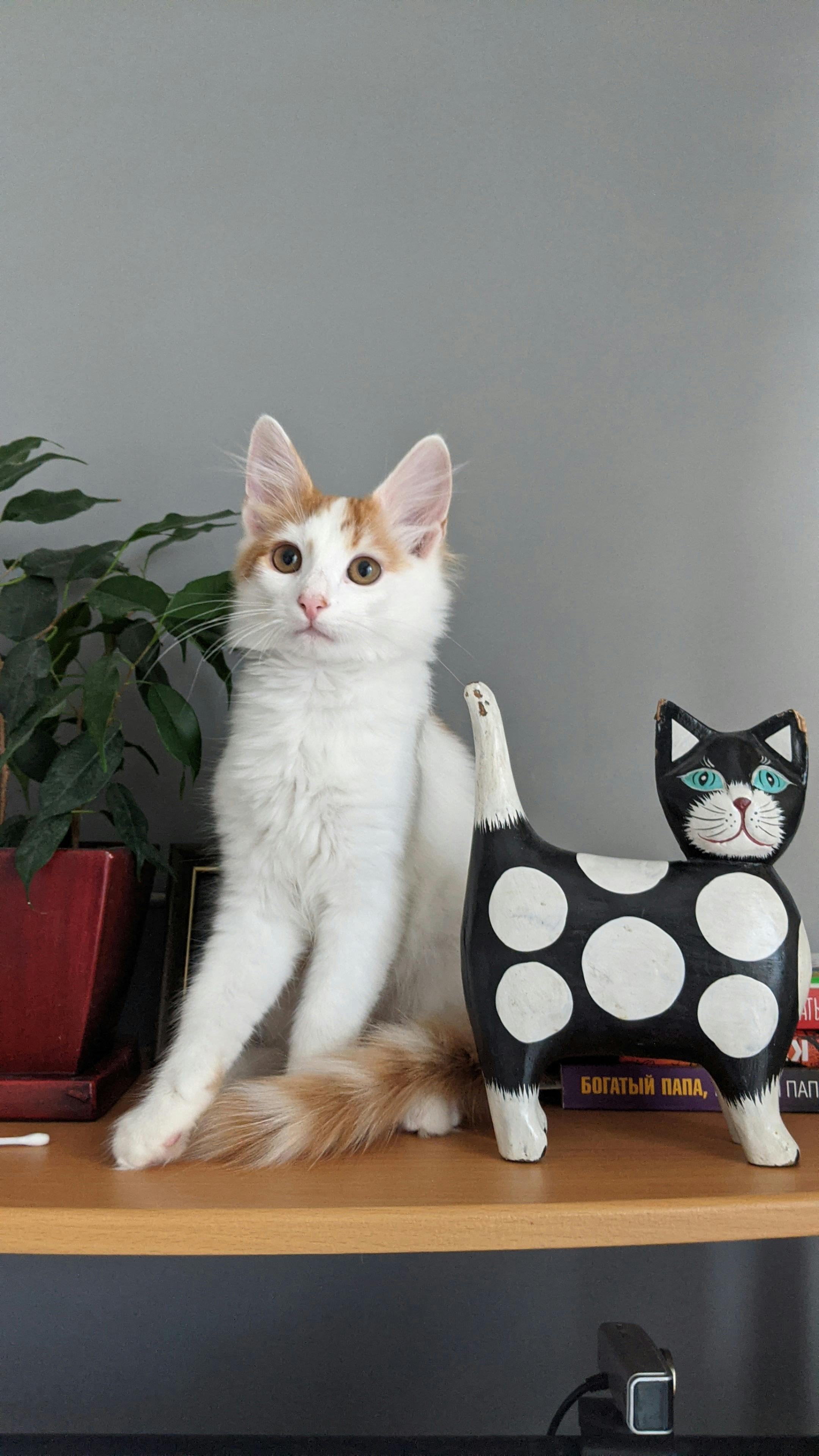 Home Decoration
