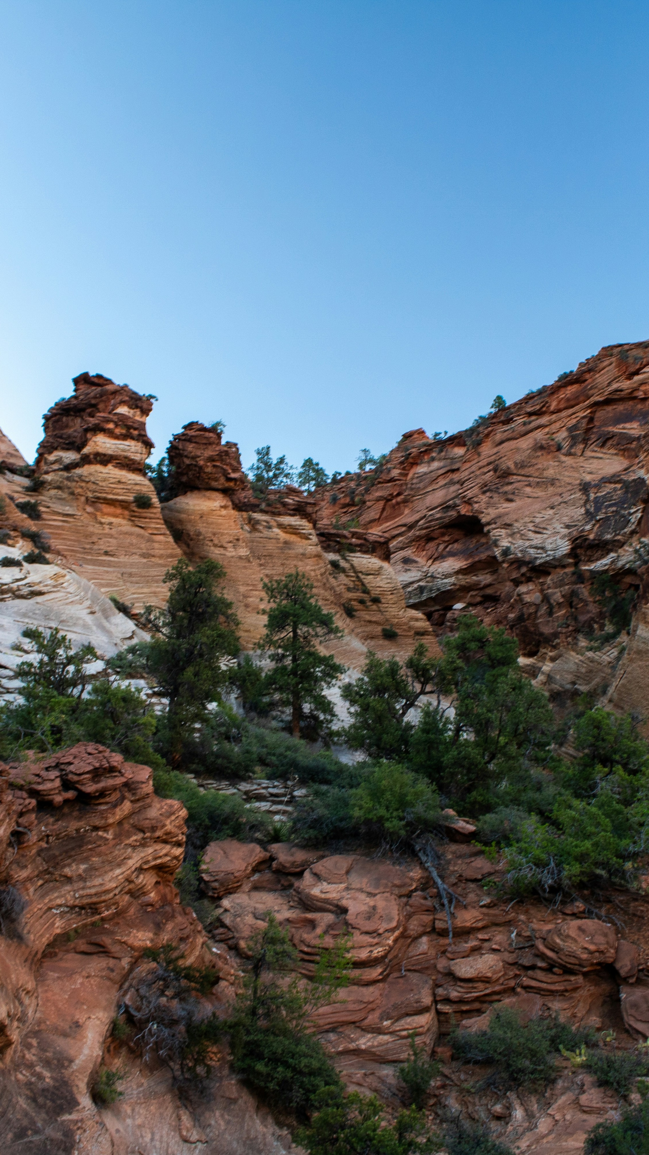 Layered Red Rock Canyon Cliffs