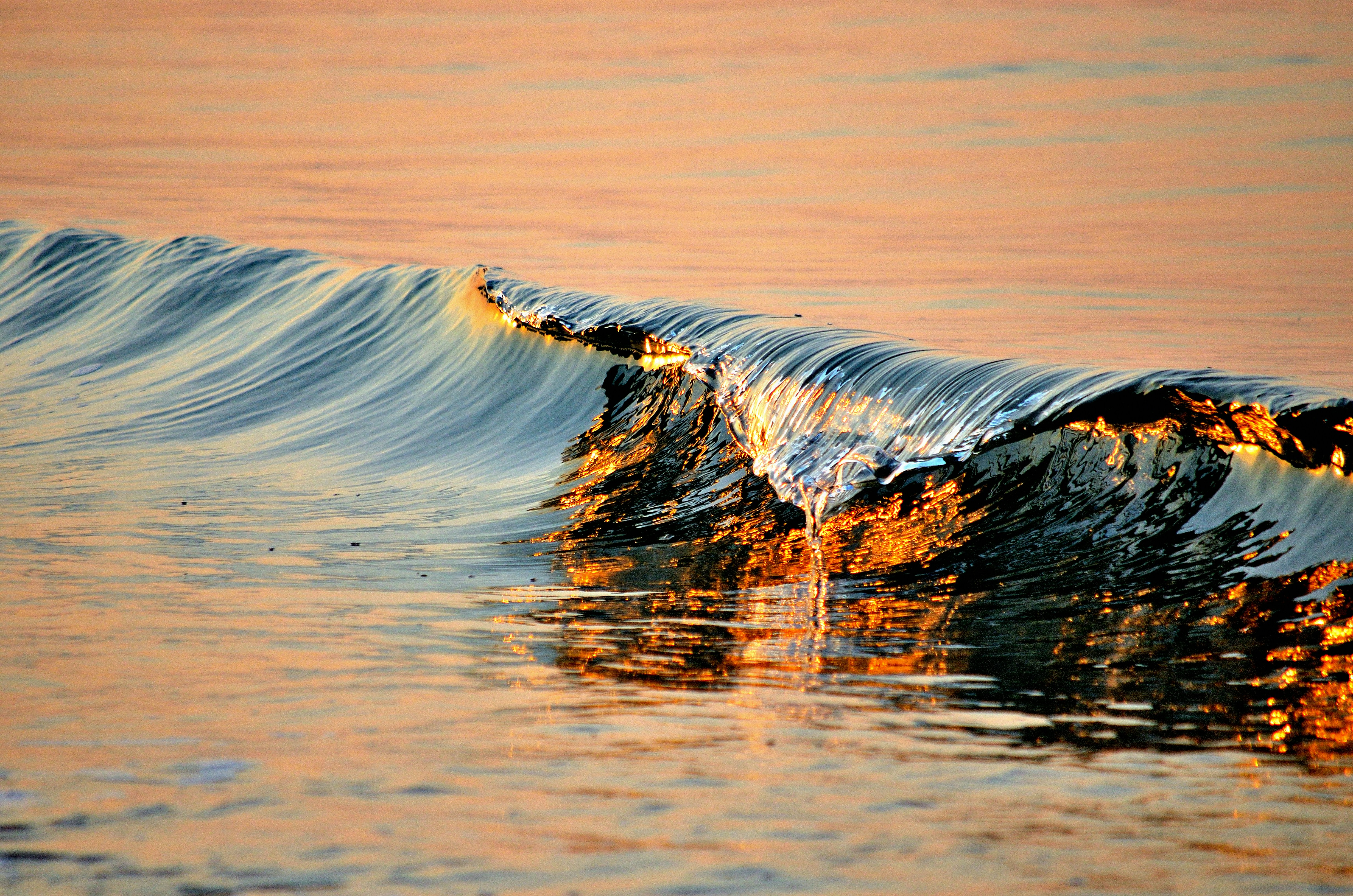 Rolling Wave at Golden Sunset