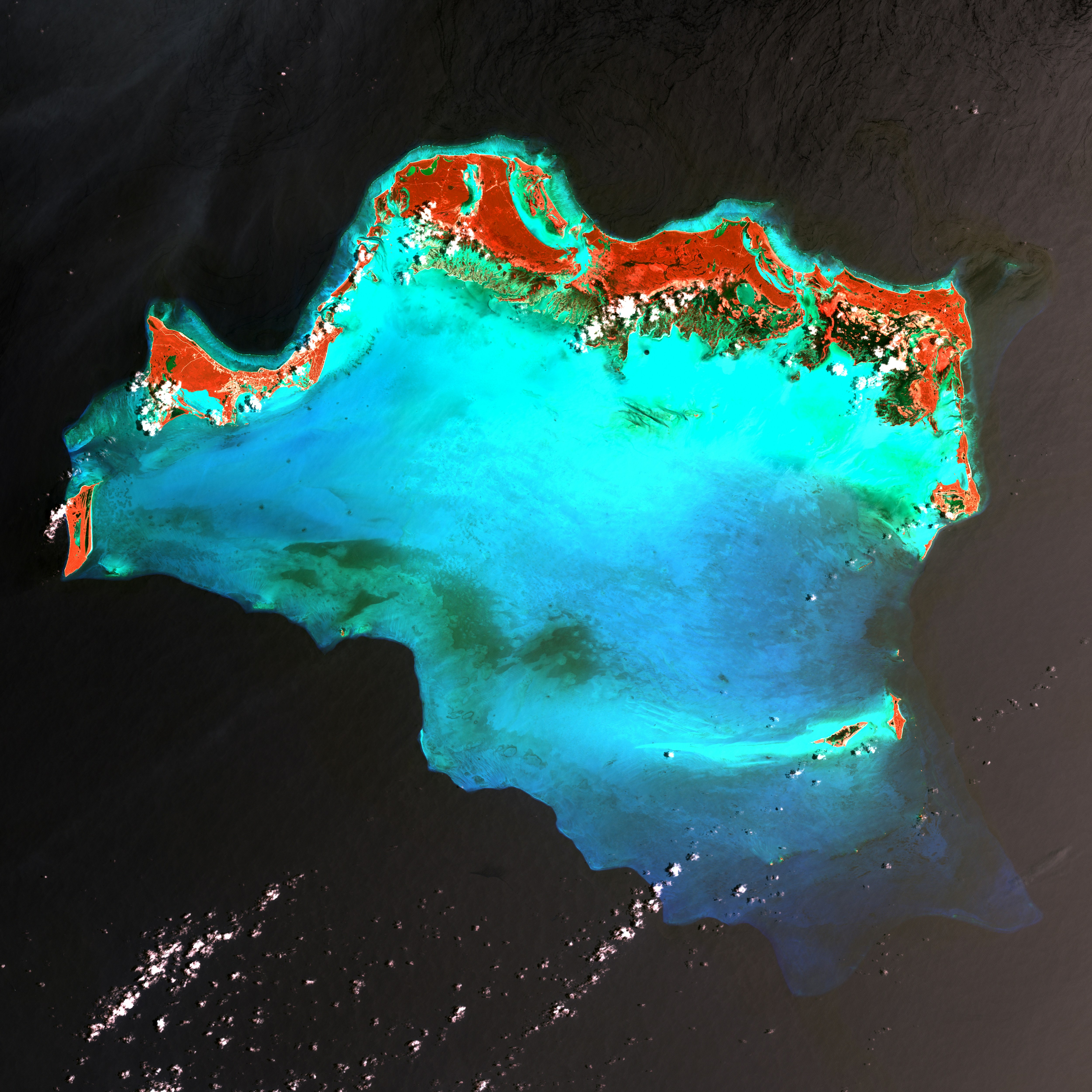 False-Color Satellite View of Coral Atoll