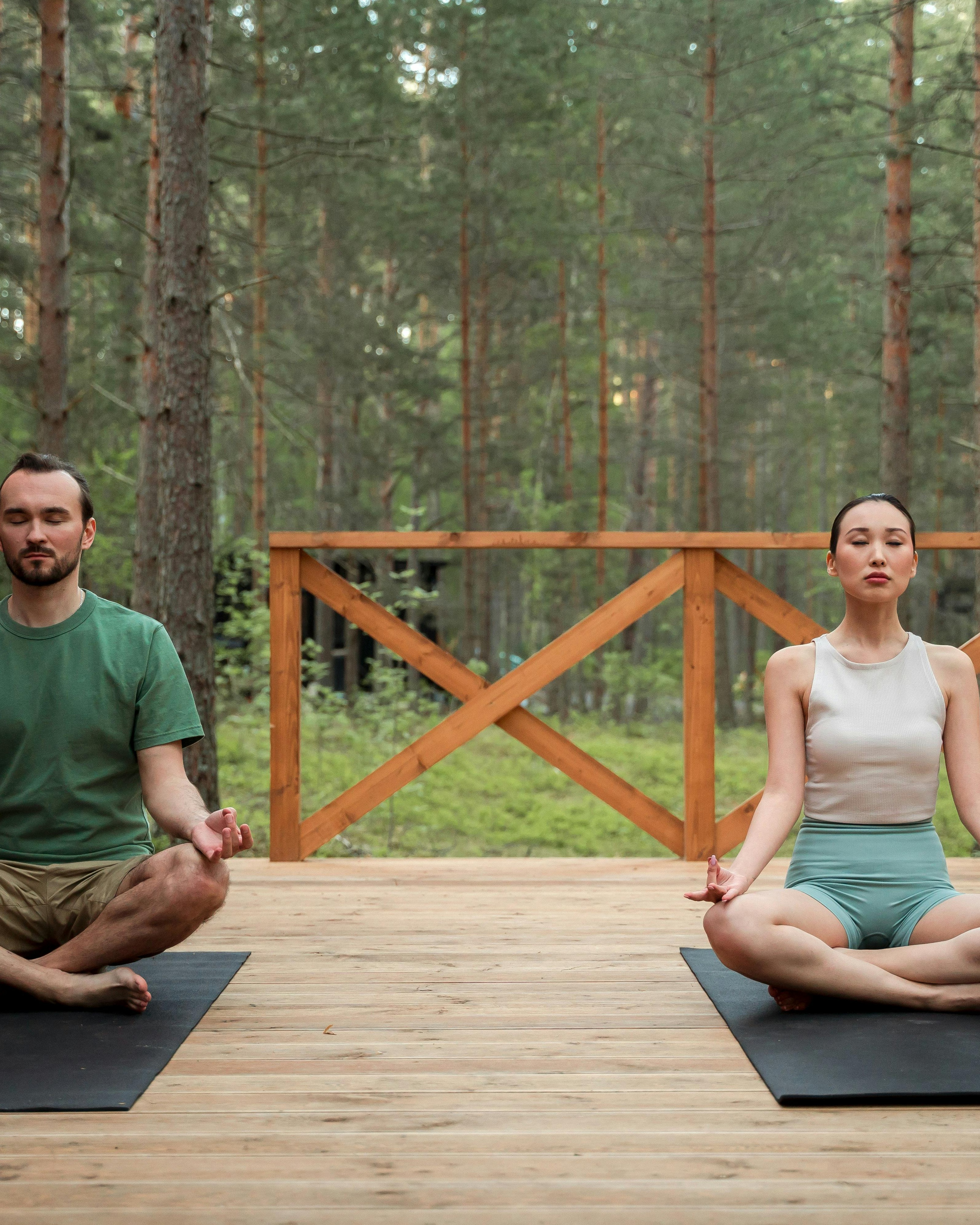 Two People Meditating in Pine Forest
