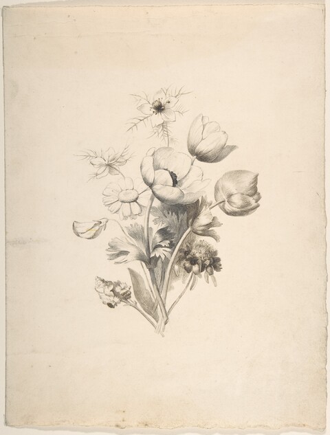 Pencil Sketch of Mixed Flower Bouquet