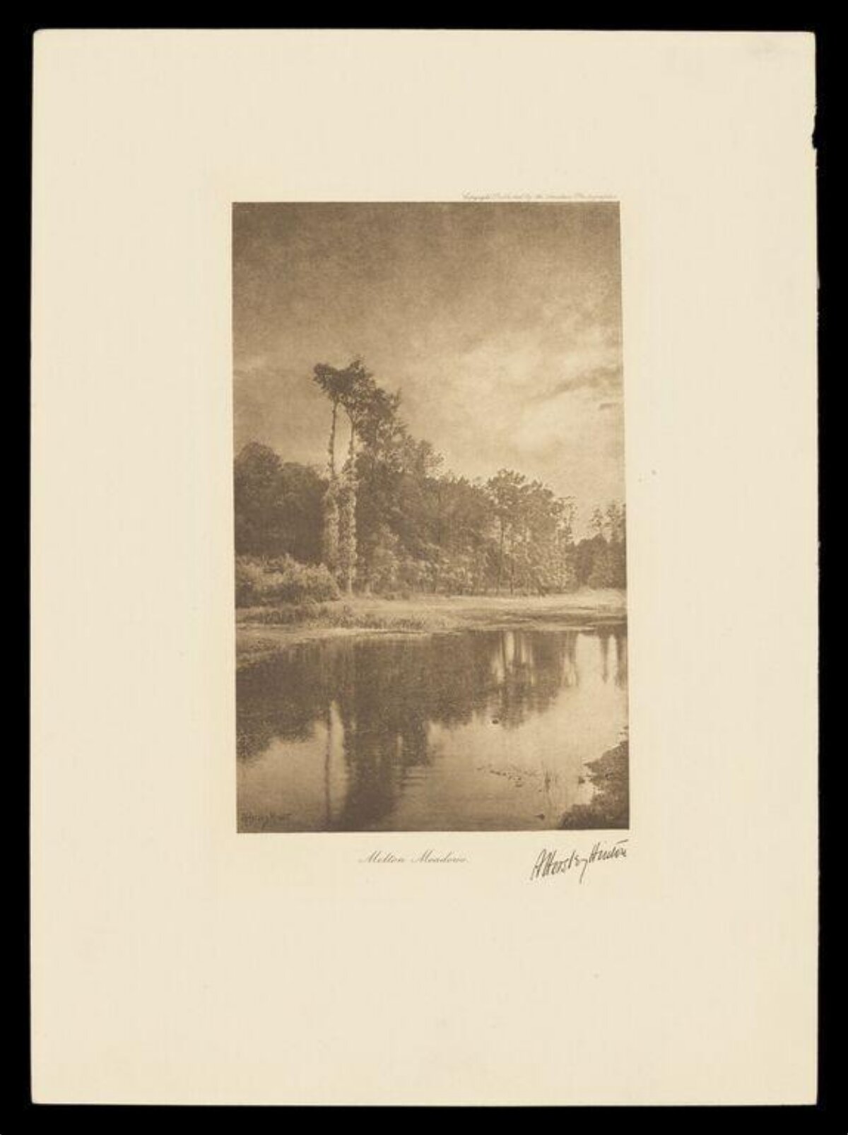Vintage Riverbank Woodland Landscape