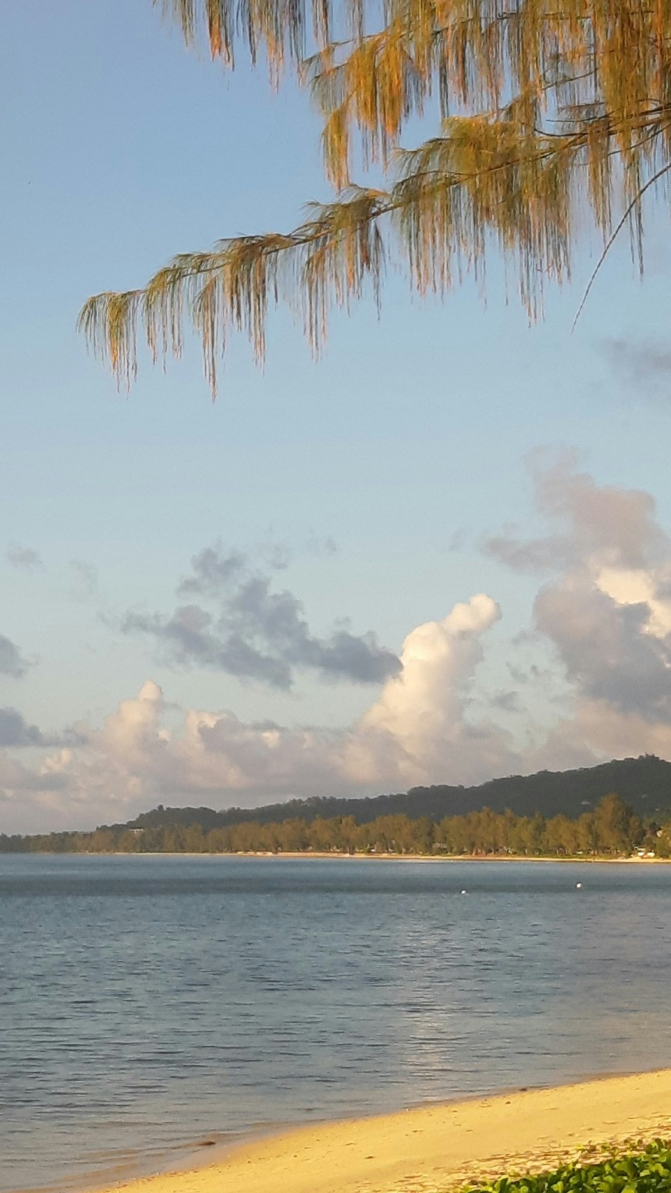 Tranquil Coastal Beach View