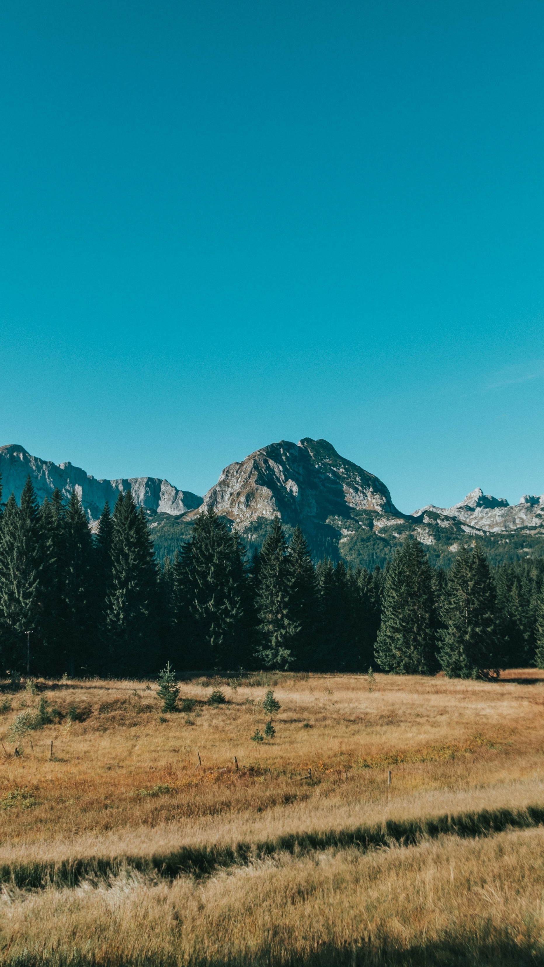 Landscapes