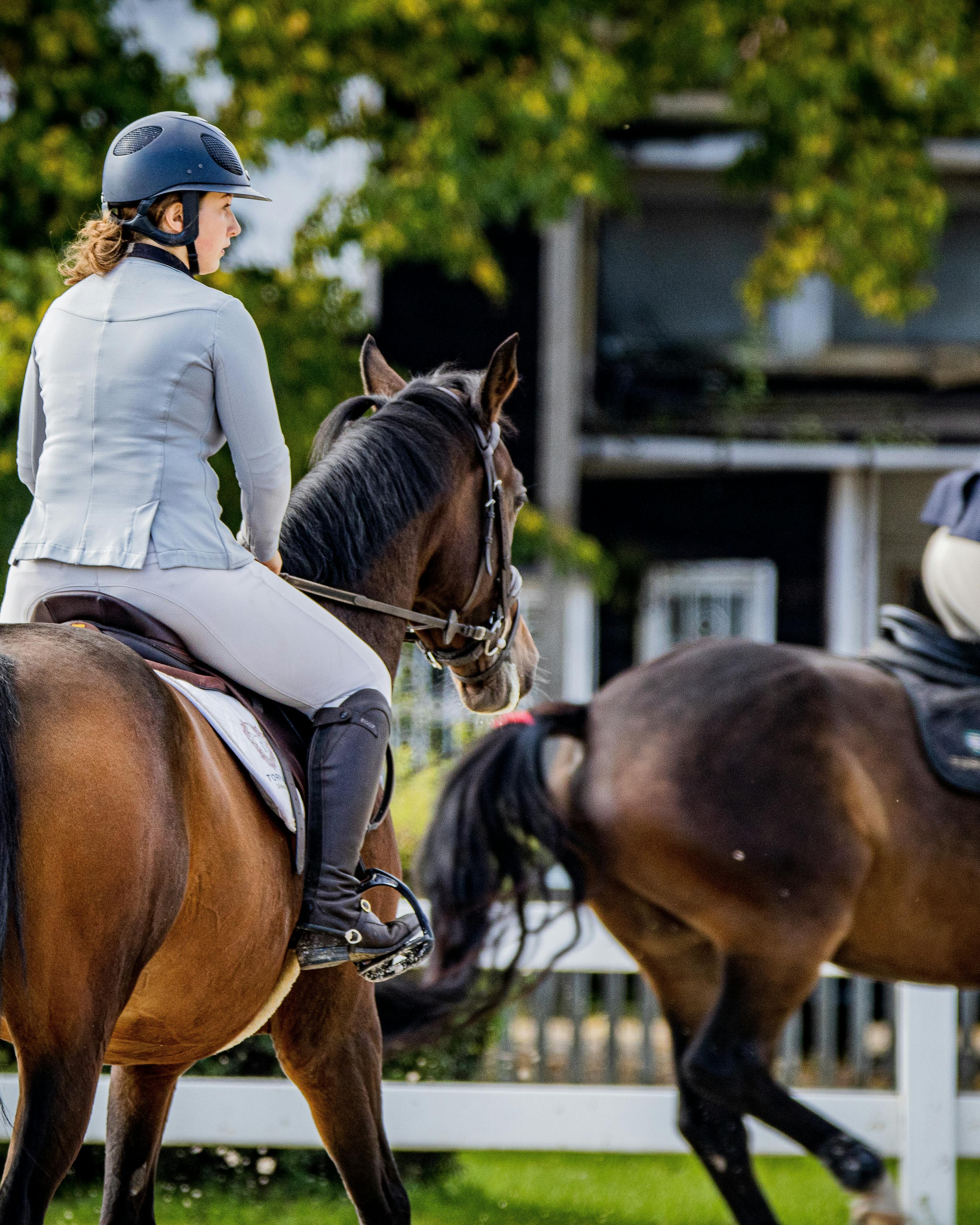 Equestrian Rider on Horse in Arena