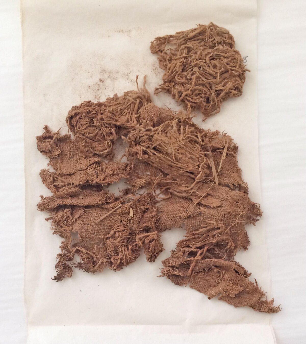 Ancient Degraded Textile Fragments