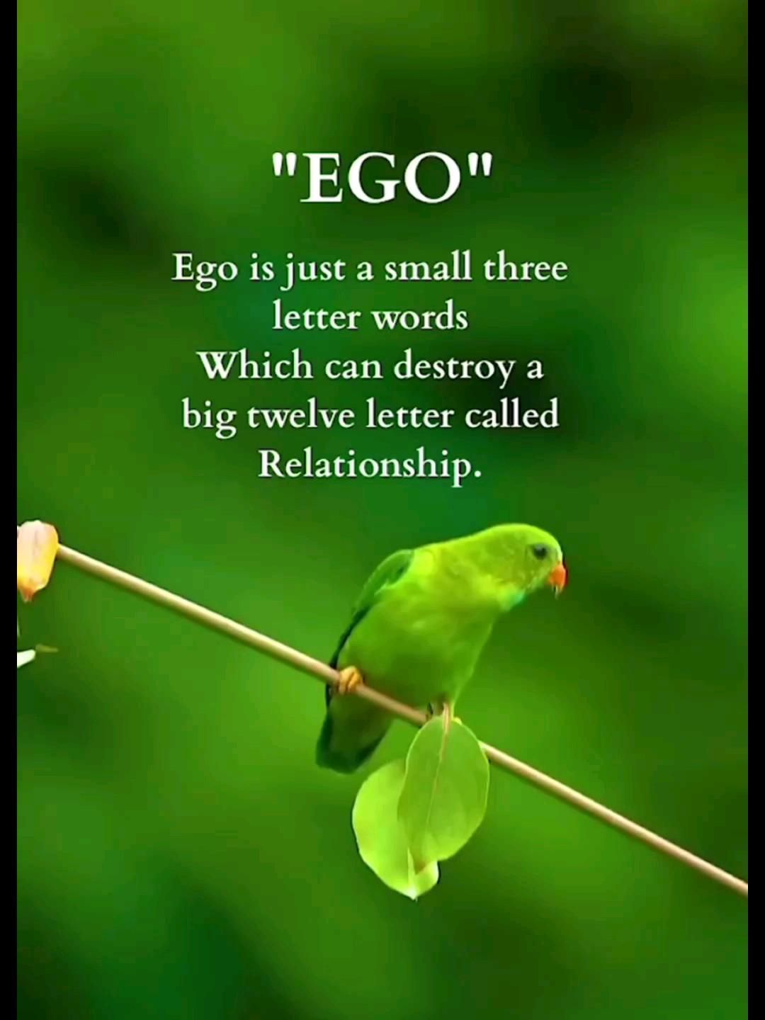 Image 1556046 — Quotes