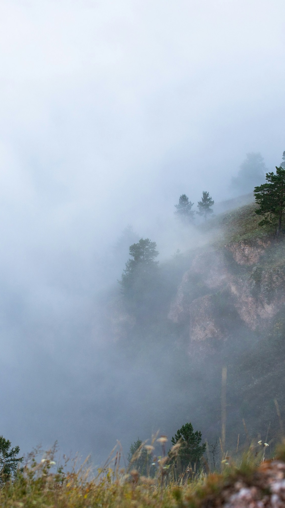 Foggy Mountain Hillside