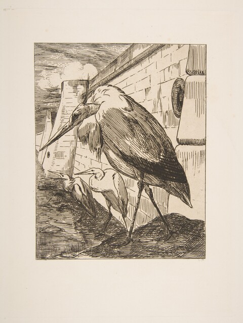 Herons by Stone Breakwater