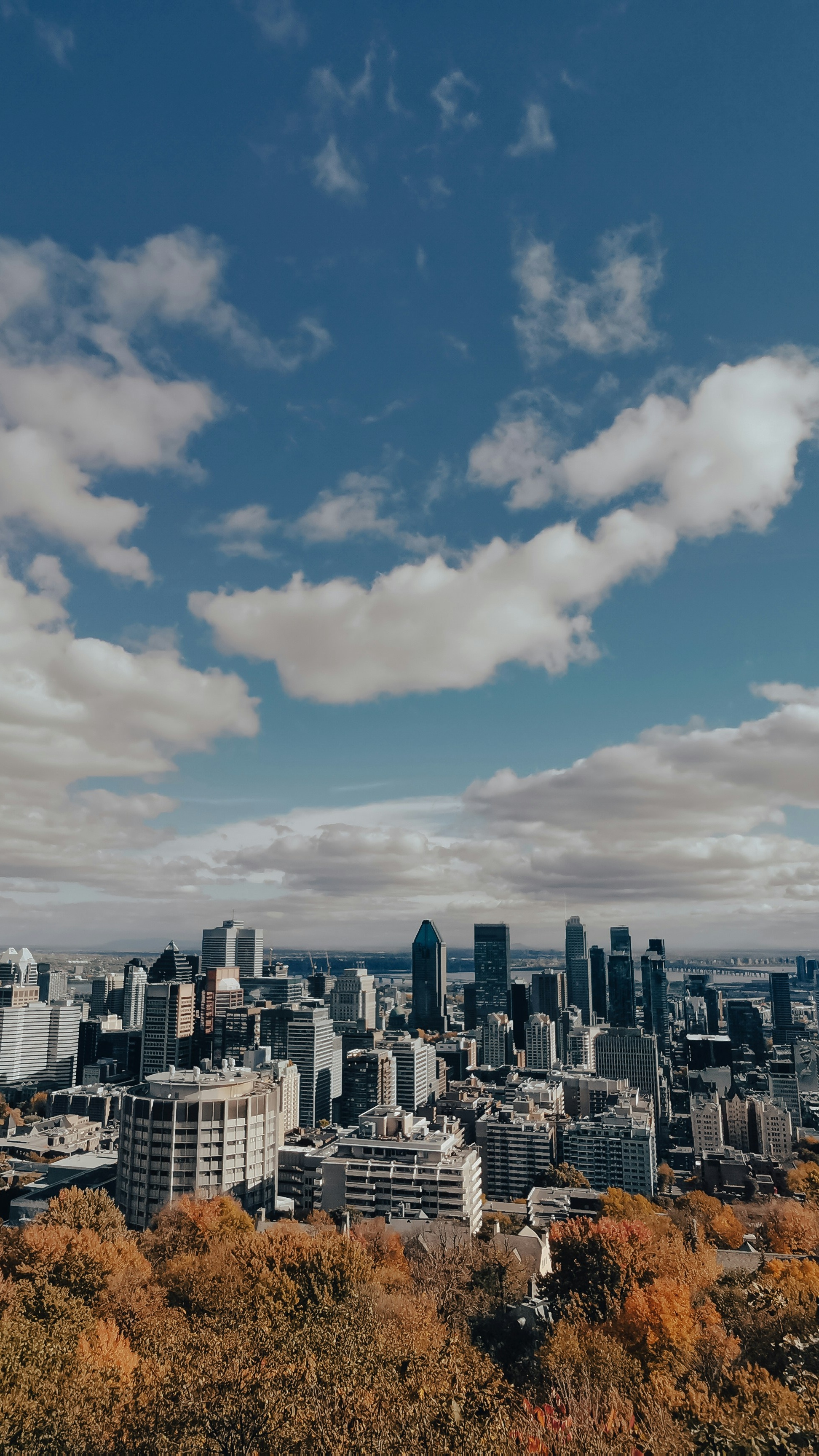 Cityscapes